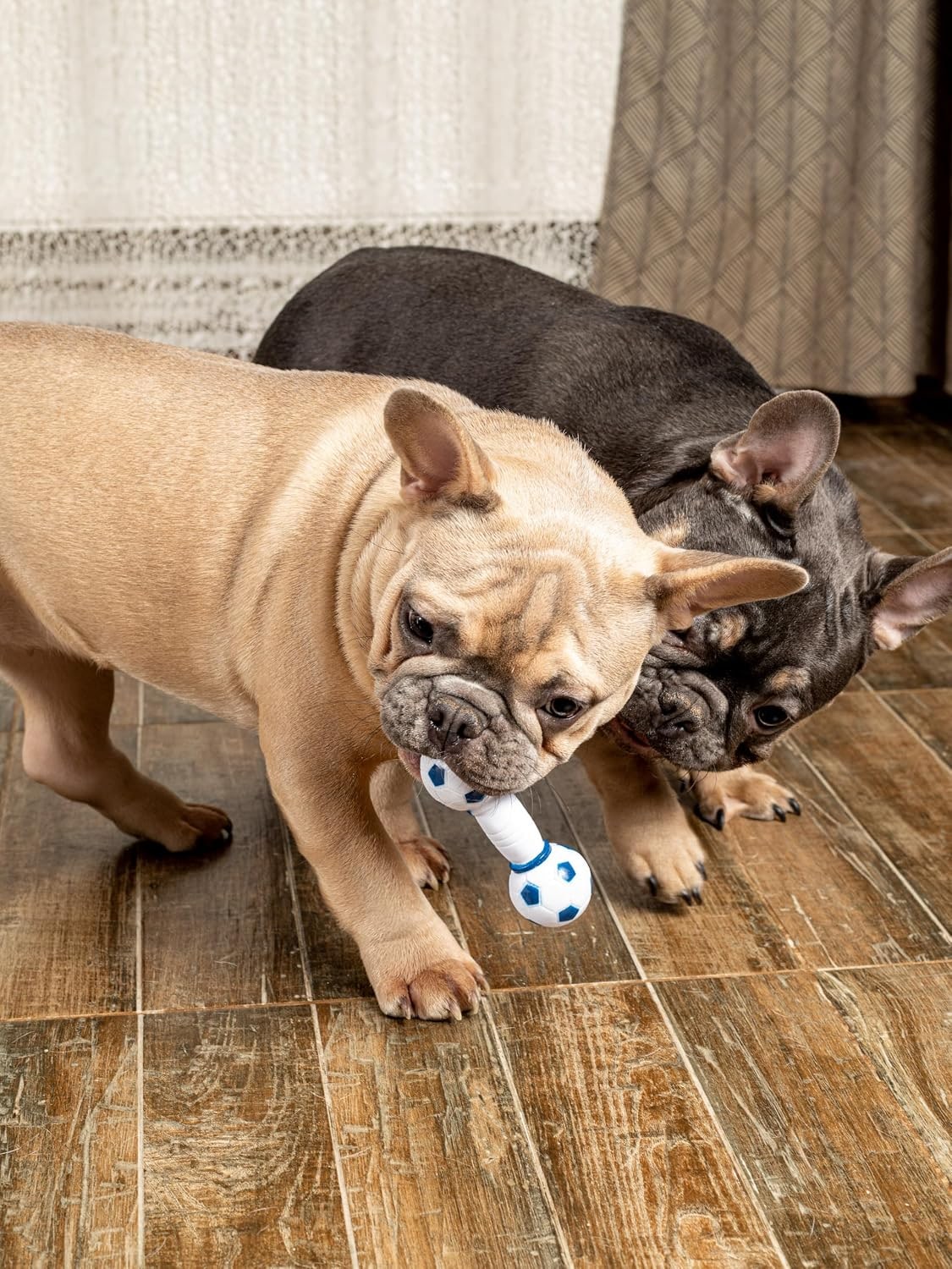 Latex Dog Toy Dumbbell Soft & Robust Chew Toy with Loud Squeaker Durable & Safe Ideal for Small Dogs