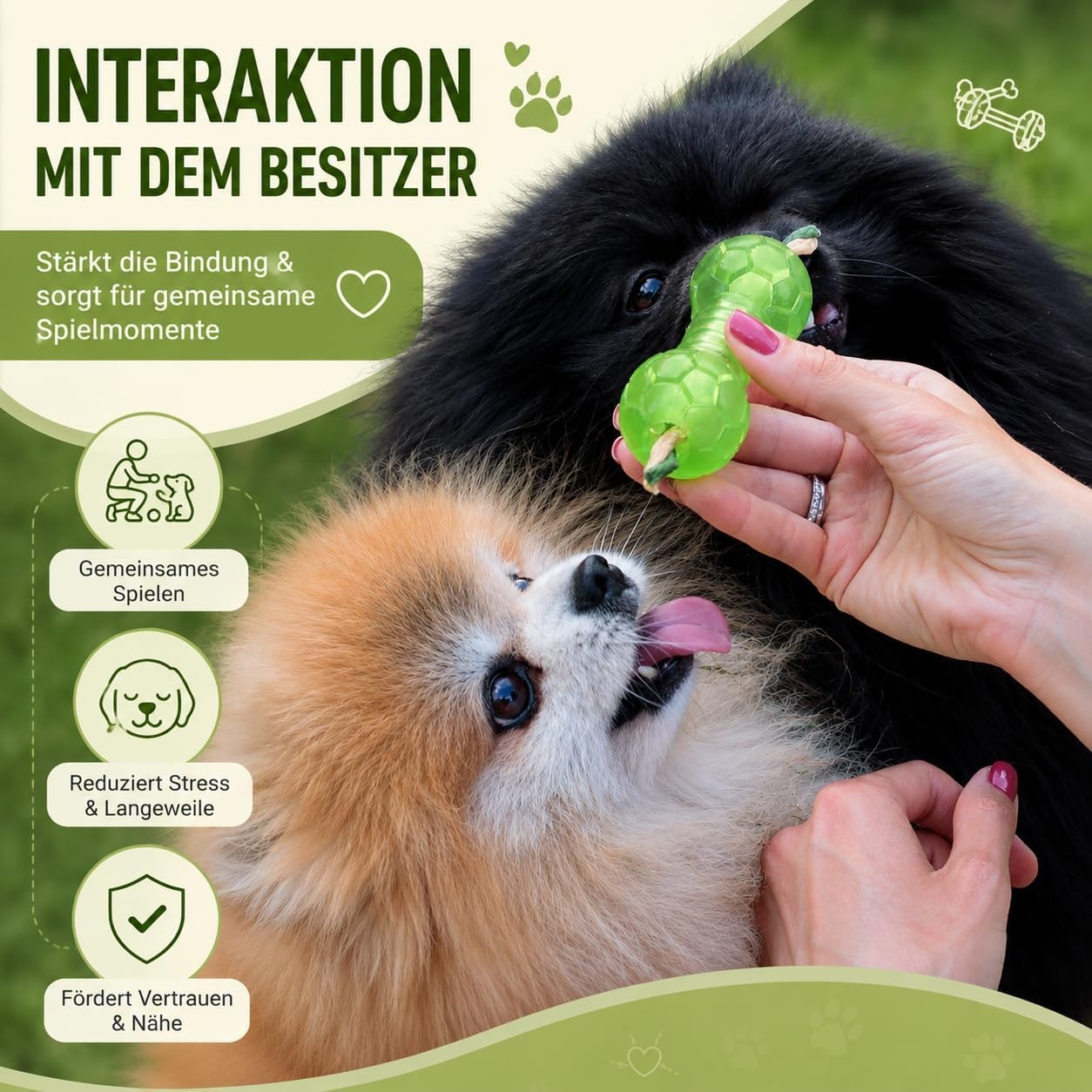 Haltère pour petits chiens - Jouet à mâcher pour soins dentaires - Avec compartiment à friandises - Vert - Matériau TPR souple