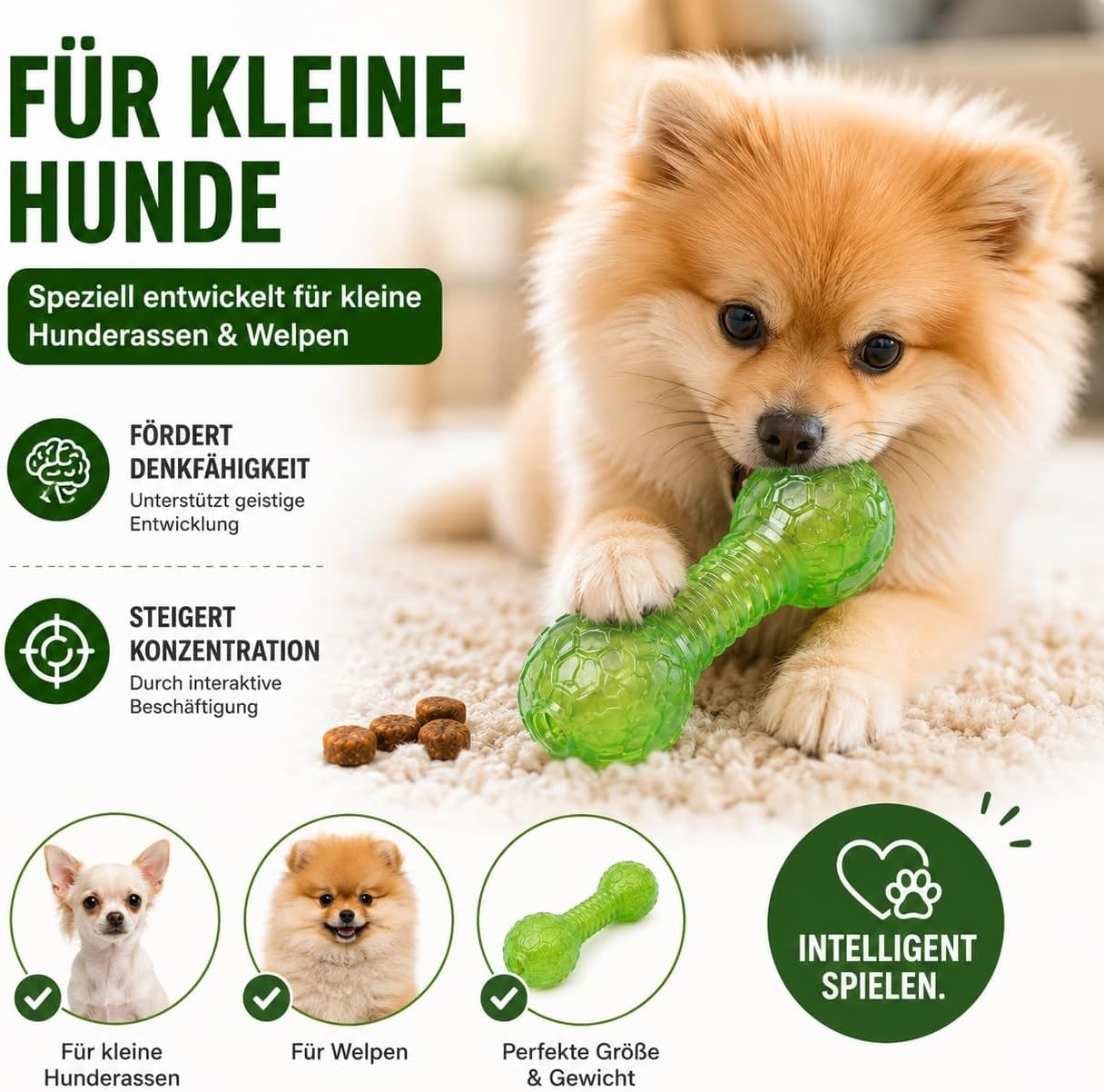 Haltère pour petits chiens - Jouet à mâcher pour soins dentaires - Avec compartiment à friandises - Vert - Matériau TPR souple