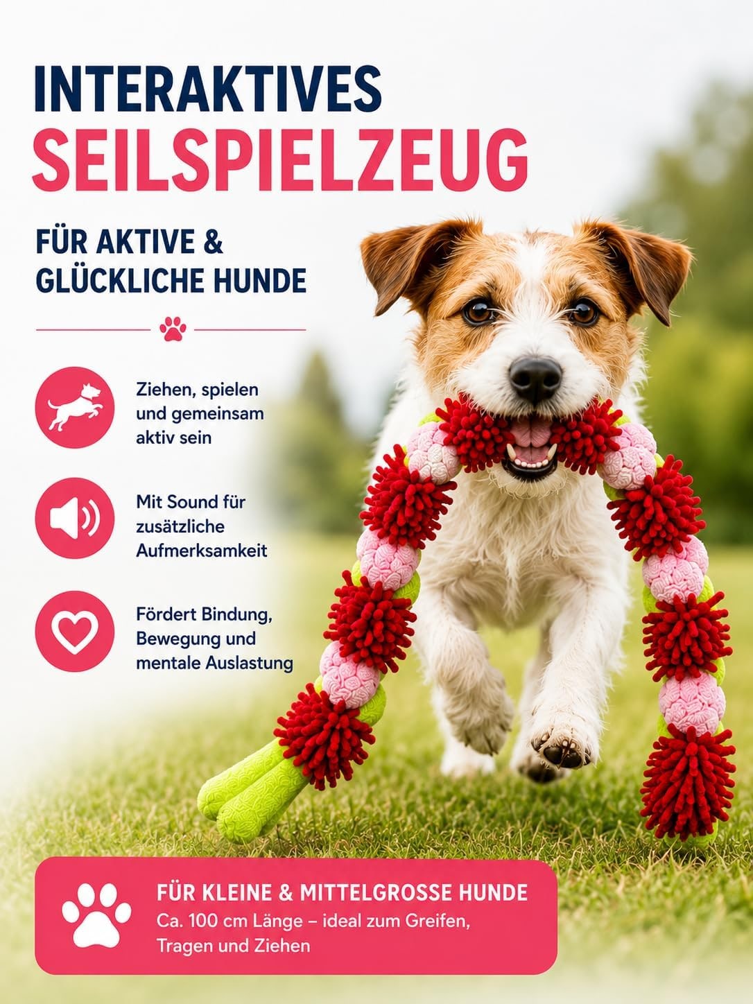 Hundespielzeug Seil mit Quietscher | Kauspielzeug für kleine & mittelgroße Hunde | Robust & langlebig | Interaktives Zerrspiel & Wurfspiel | 100 cm