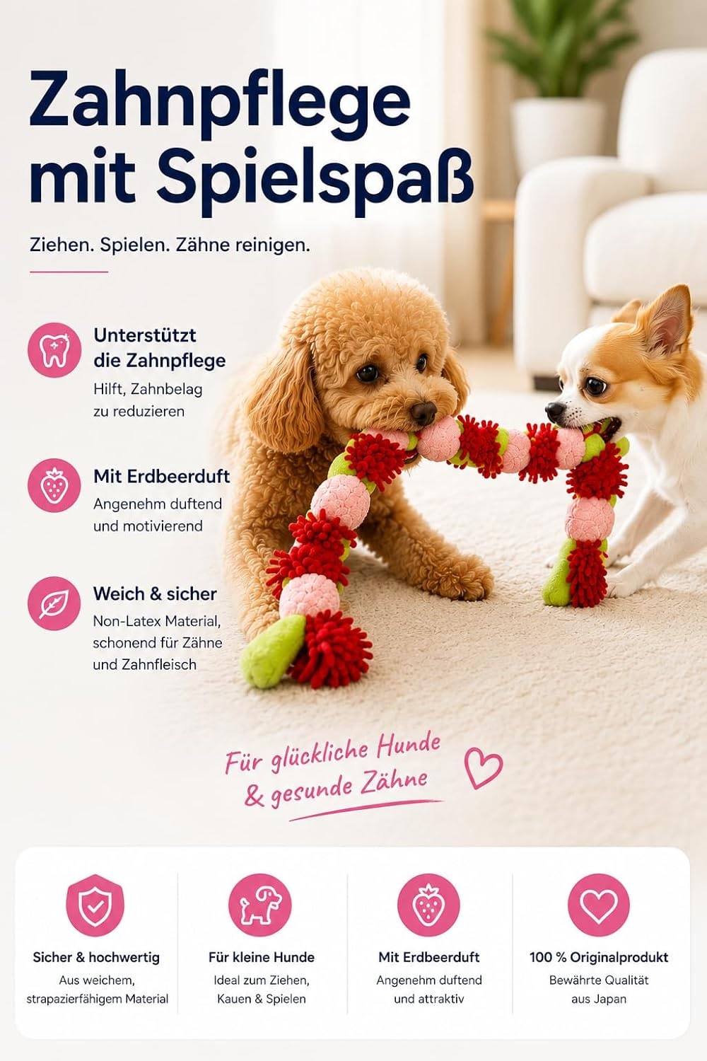 Hundespielzeug Seil mit Quietscher | Kauspielzeug für kleine & mittelgroße Hunde | Robust & langlebig | Interaktives Zerrspiel & Wurfspiel | 100 cm