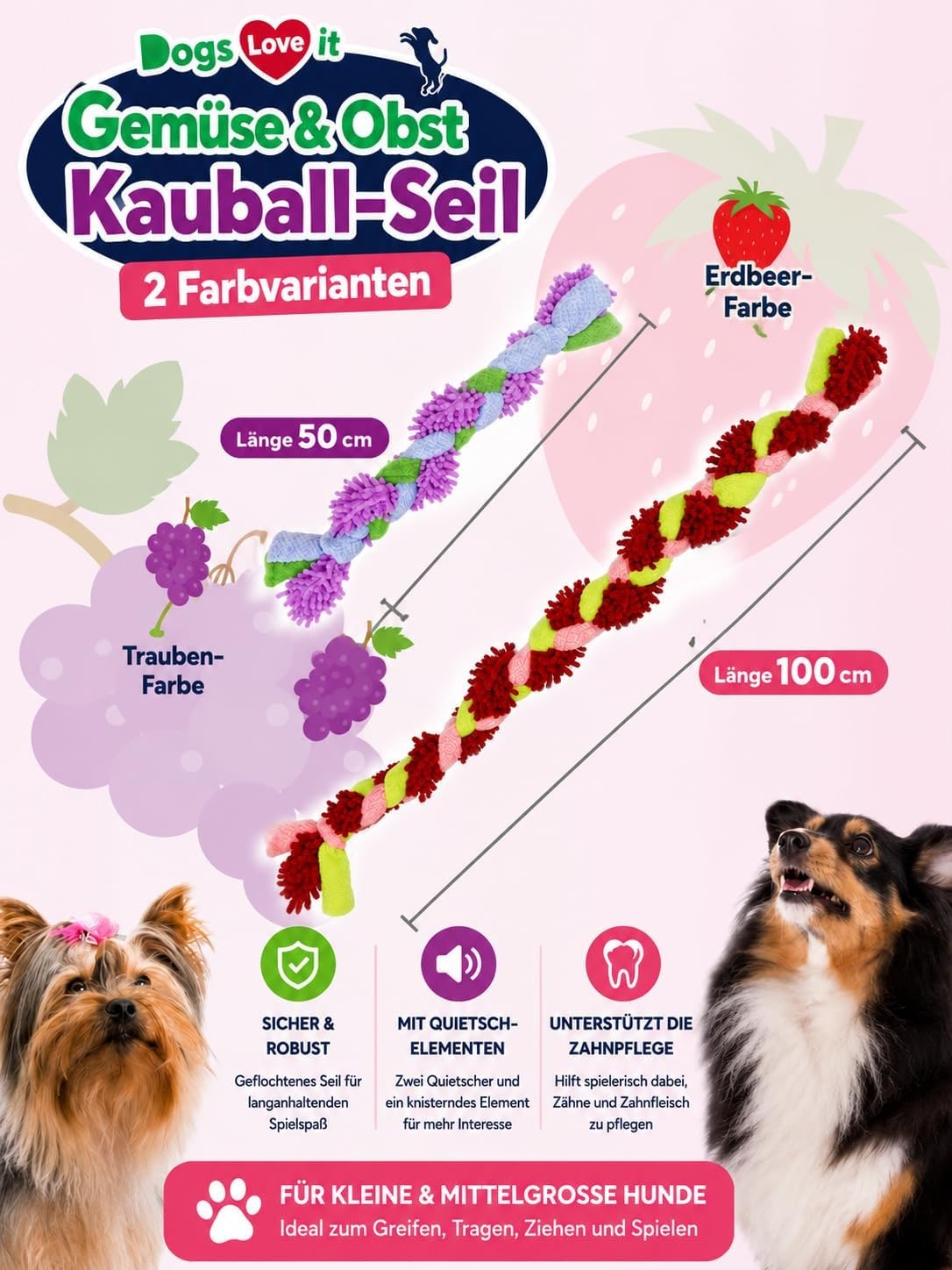 Hundespielzeug Seil mit Quietscher | Kauspielzeug für kleine & mittelgroße Hunde | Robust & langlebig | Interaktives Zerrspiel & Wurfspiel | 100 cm