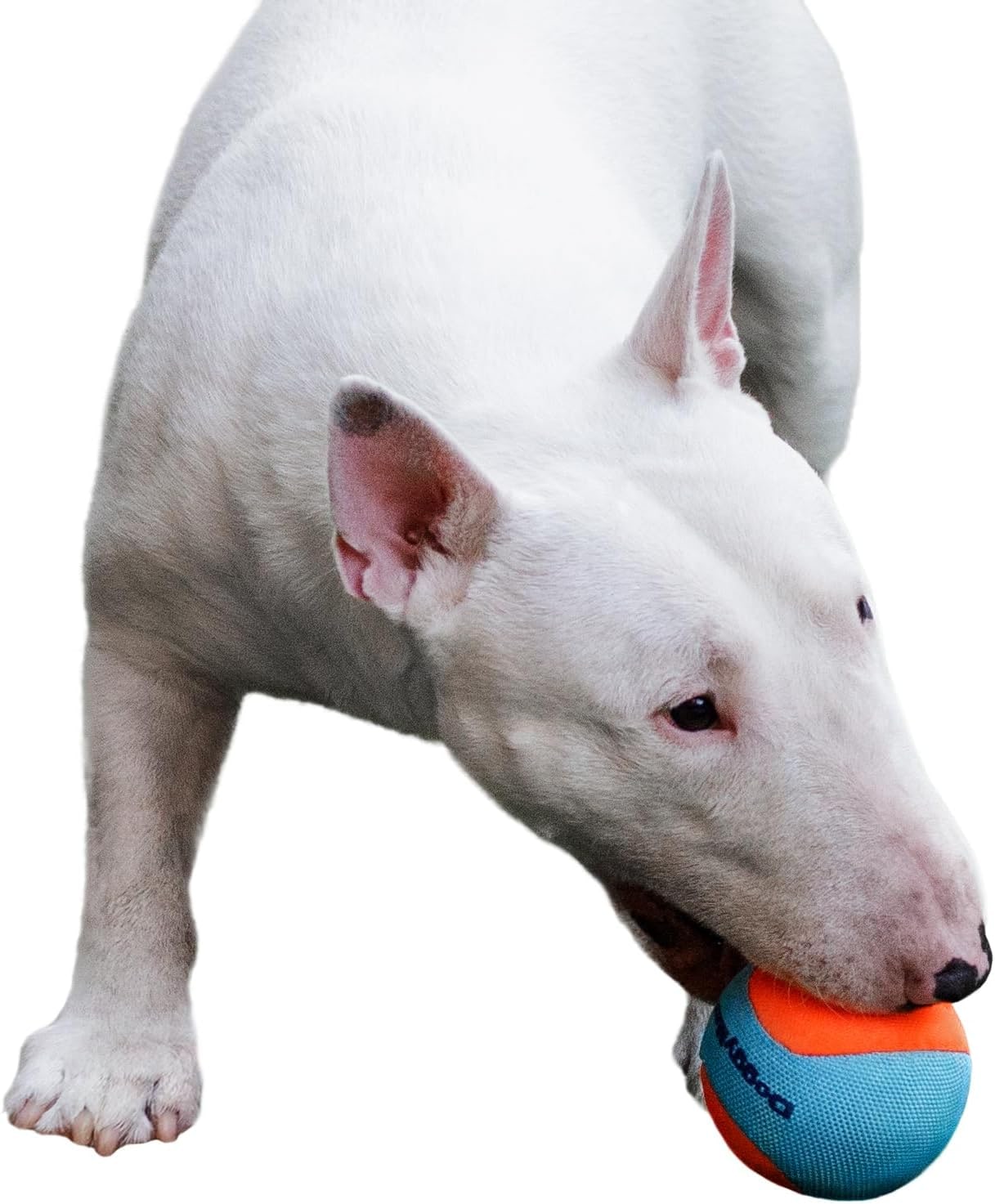 Indestructible Dog Ball, For Medium & Large Dogs, Extra Robust & Bite Resistant, Durable Chew Toy