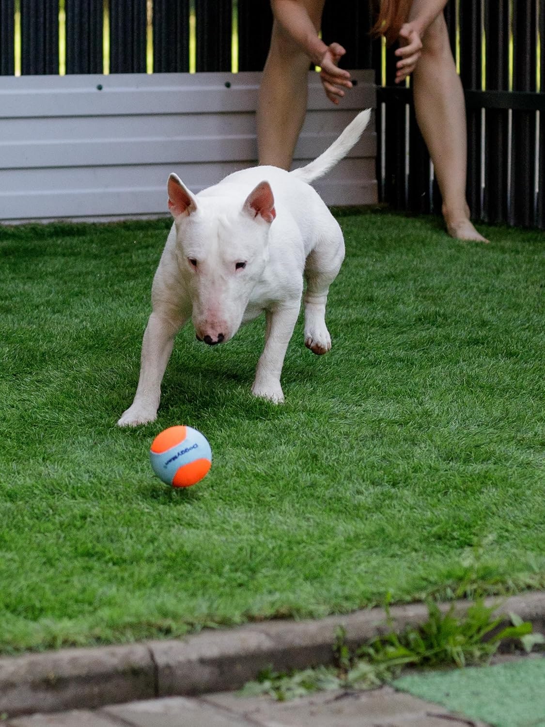 Indestructible Dog Ball, For Medium & Large Dogs, Extra Robust & Bite Resistant, Durable Chew Toy