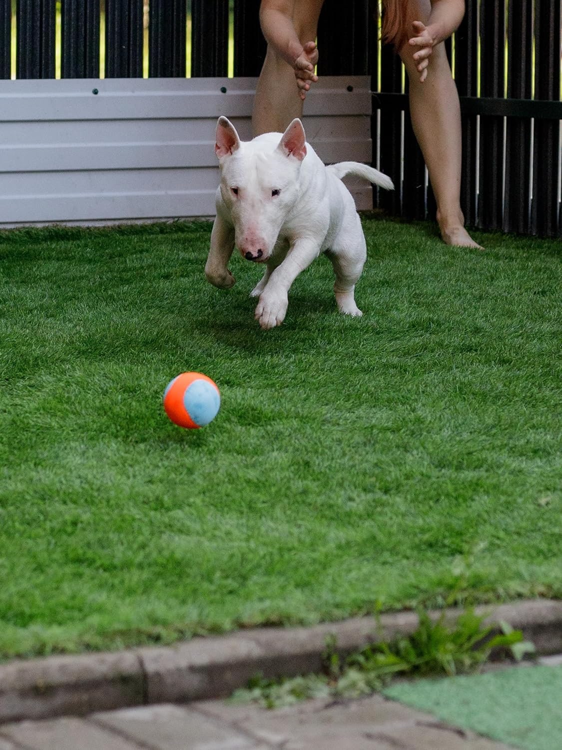 Indestructible Dog Ball, For Medium & Large Dogs, Extra Robust & Bite Resistant, Durable Chew Toy
