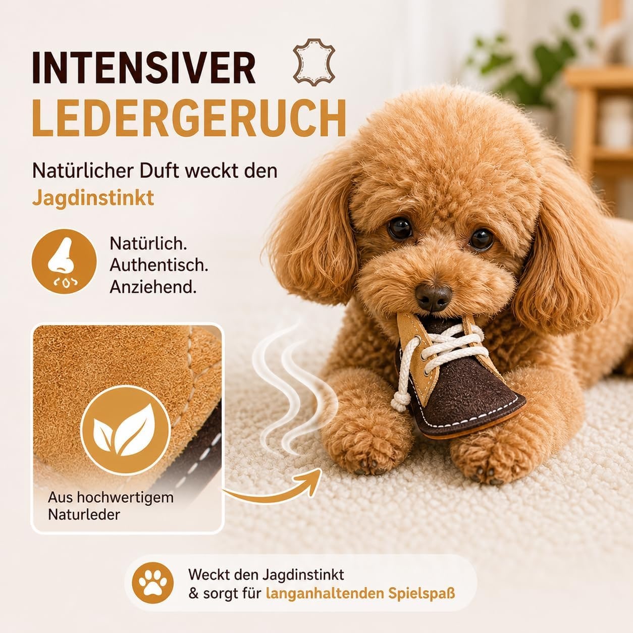 Leather Dog Toy Boots for Small and Mini Dogs Robust & Bite Resistant Dental Care & Gum Massage Chew Toy for Training & Behavior Correction