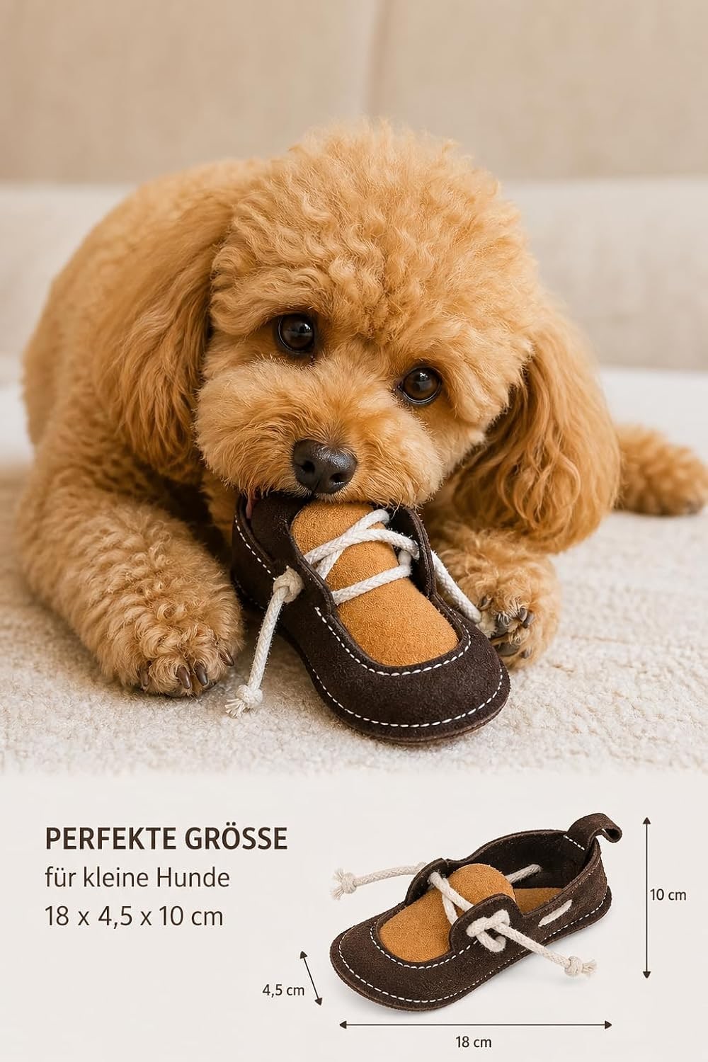 Leather Dog Toy Shoe for Small & Mini Dogs Bite Resistant & Durable Dental Care & Gum Massage Chew Toy for Training & Behavior Correction