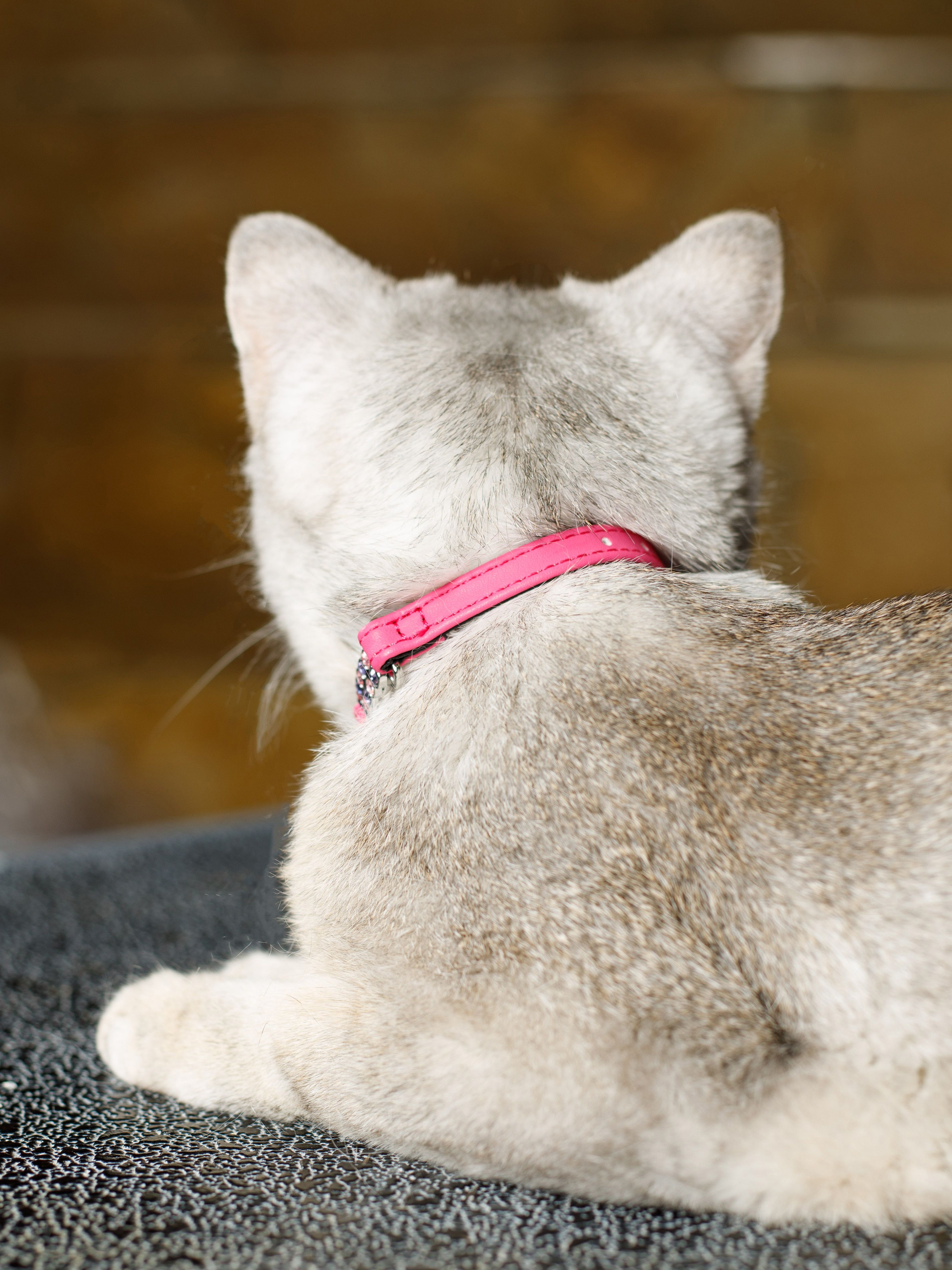 Produkt CAC0649214 Bild 3