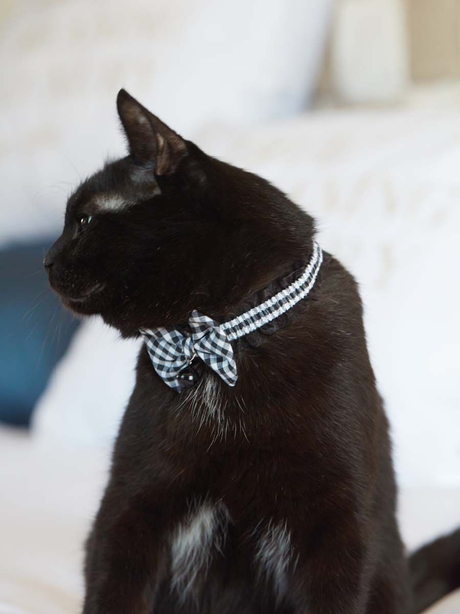 Produkt CAC0669212 Bild 13