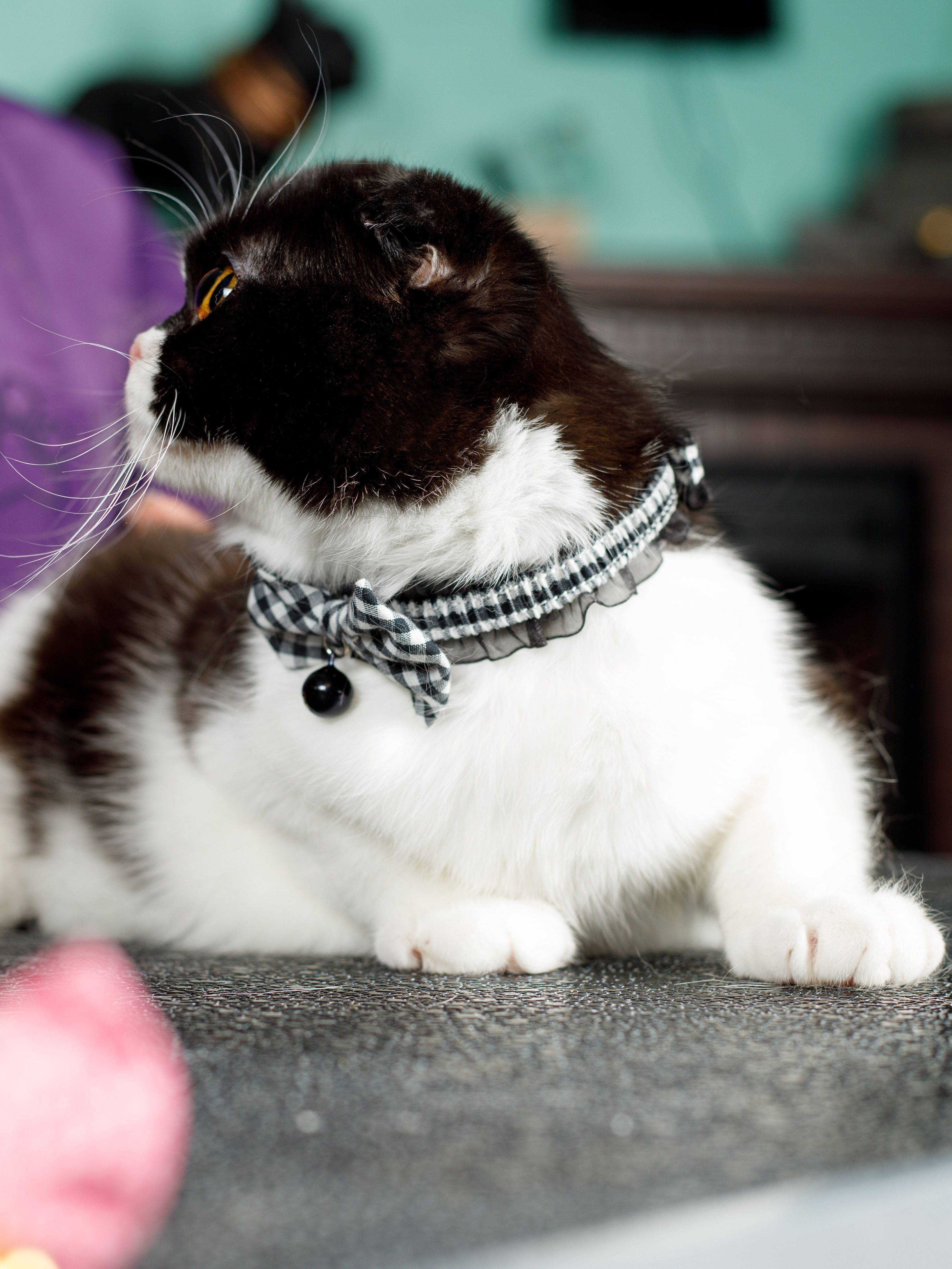 Produkt CAC0669212 Bild 9