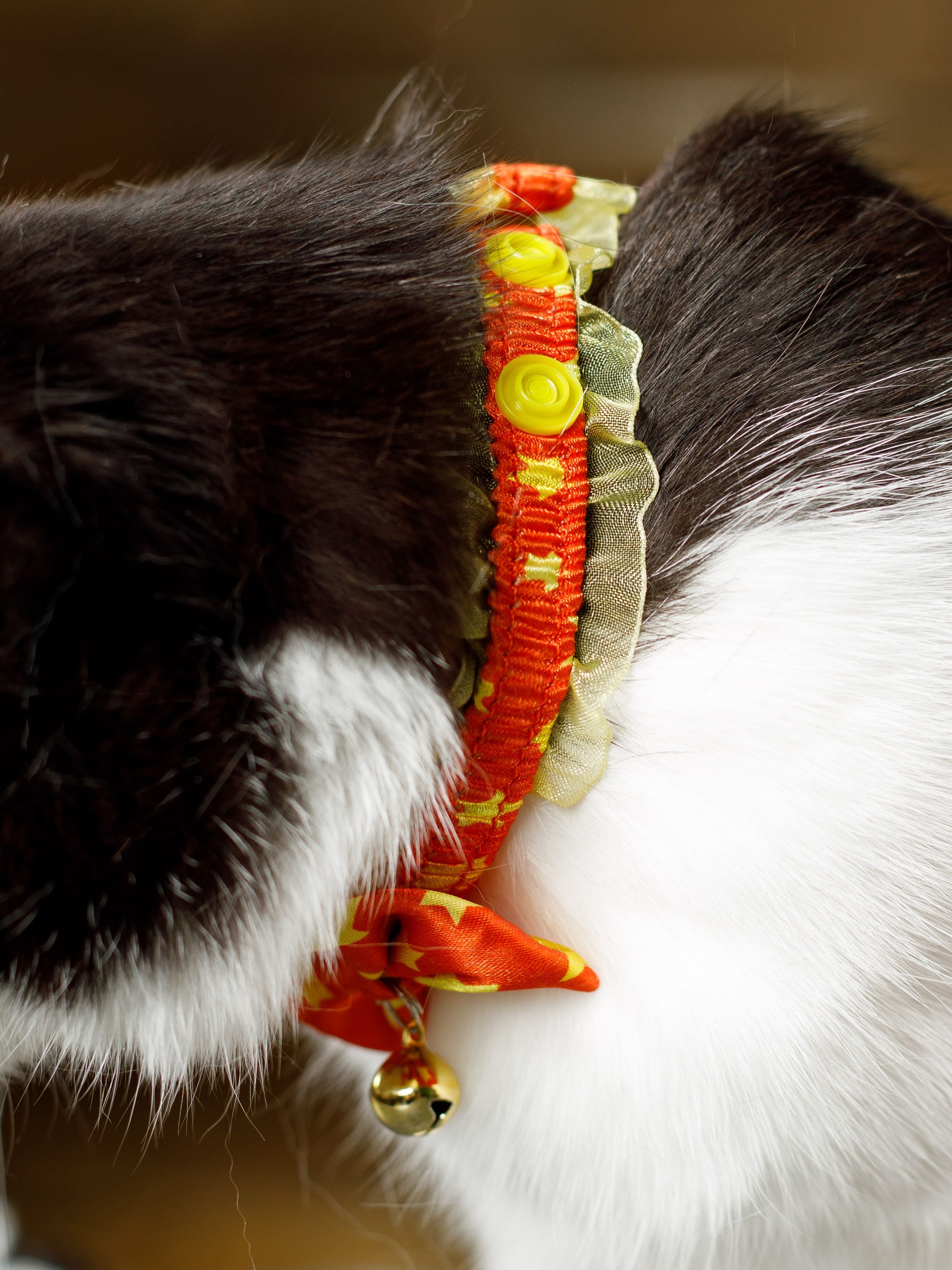 Produkt CAC0669243 Bild 2