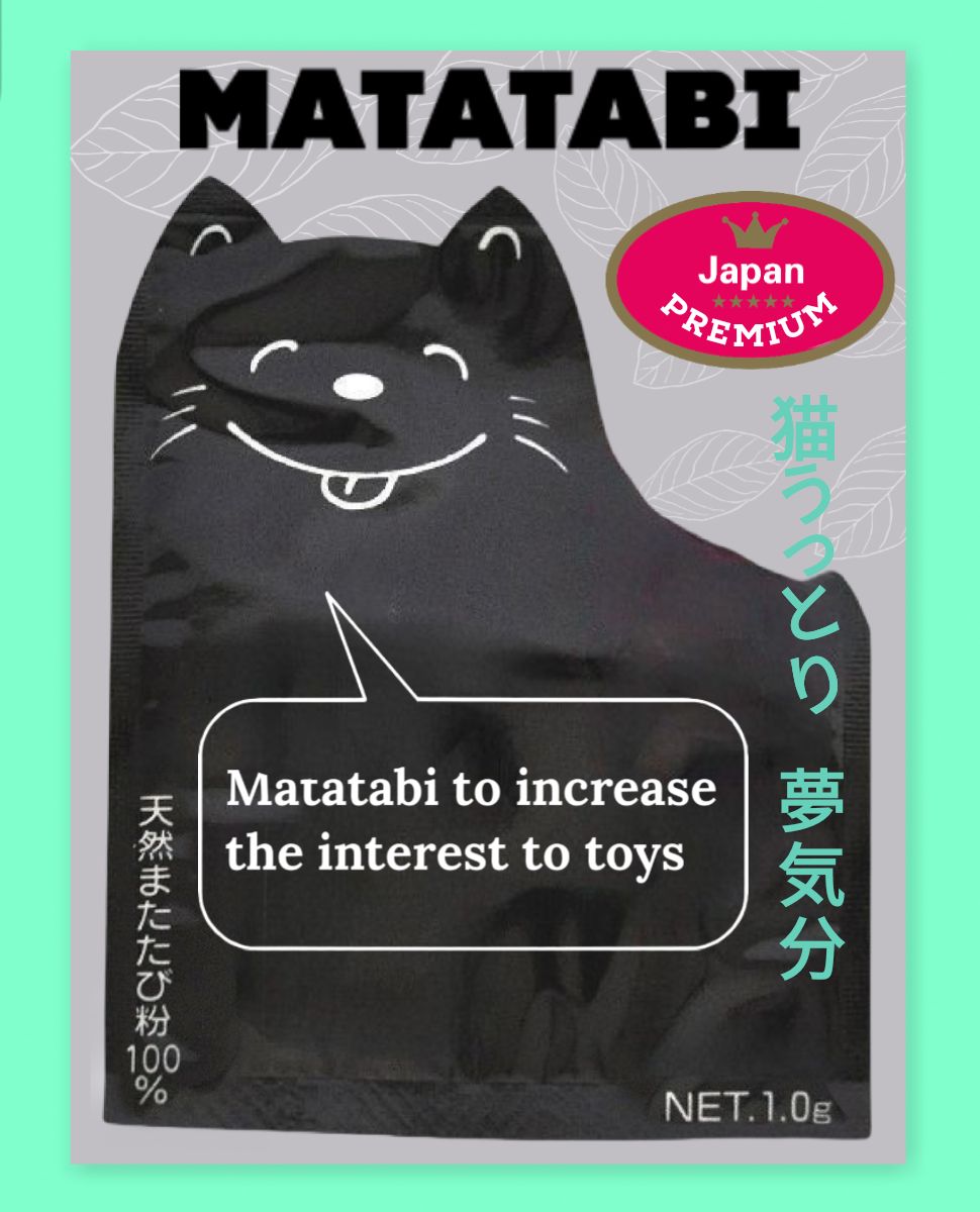 Produkt CBMP500157 Bild 3