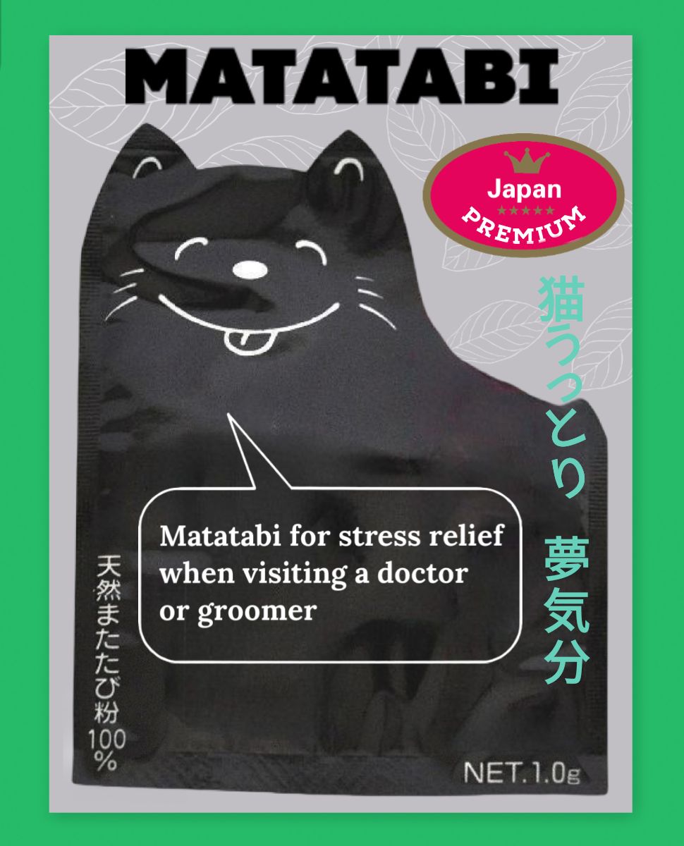 Produkt CBMP500200 Bild 3