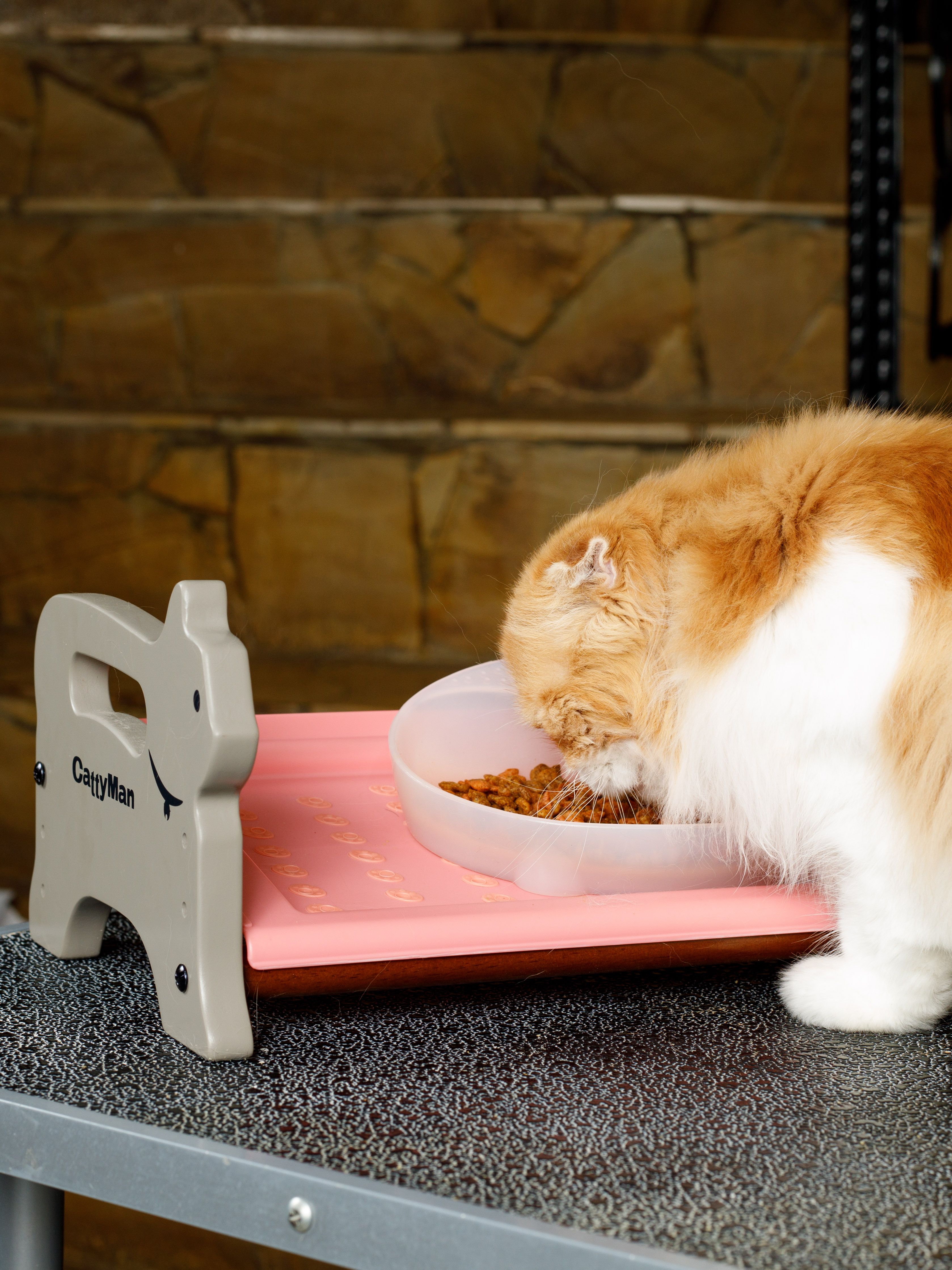 Product CEFT933796 photo 10