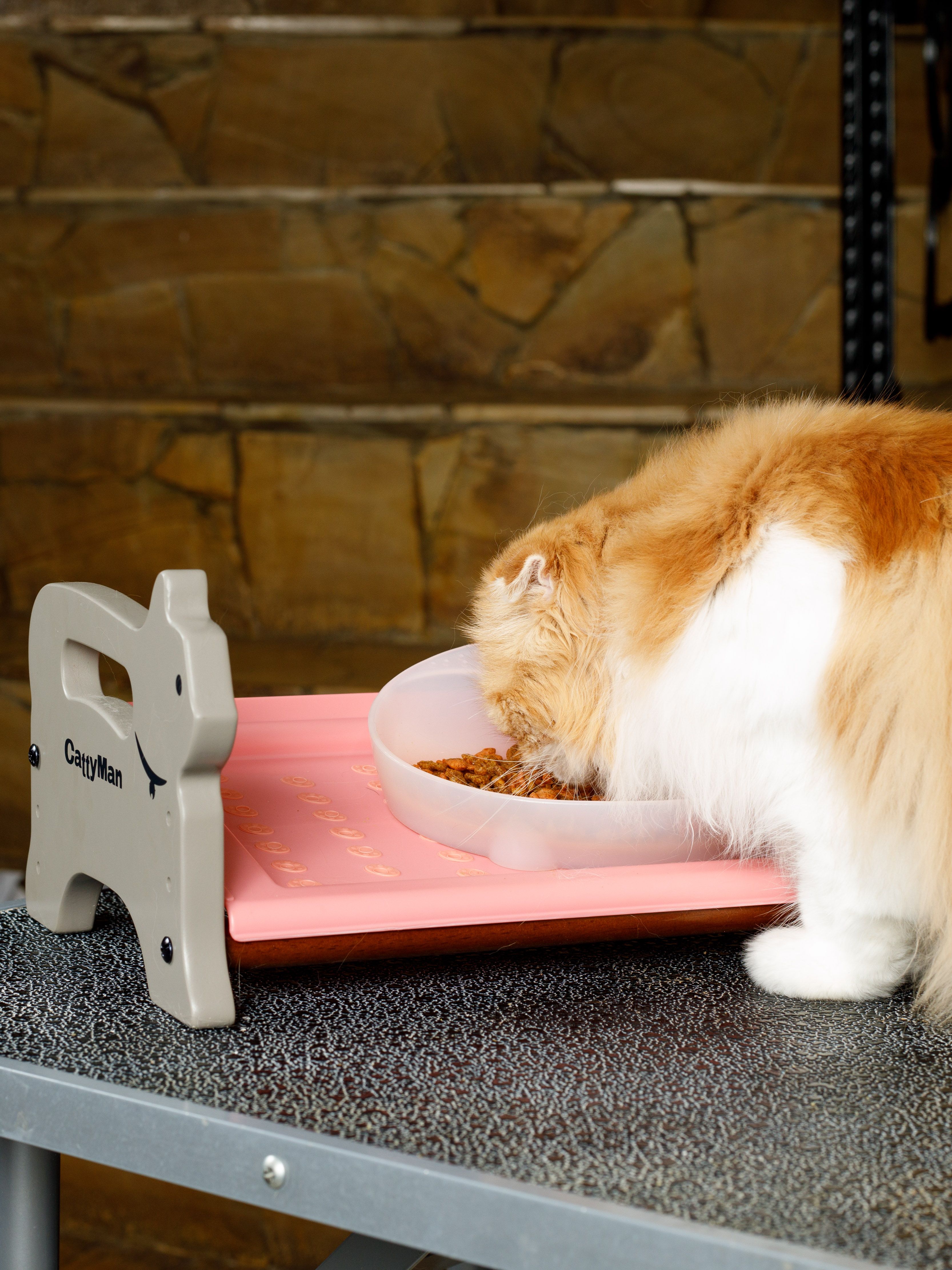 Product CEFT933796 photo 11