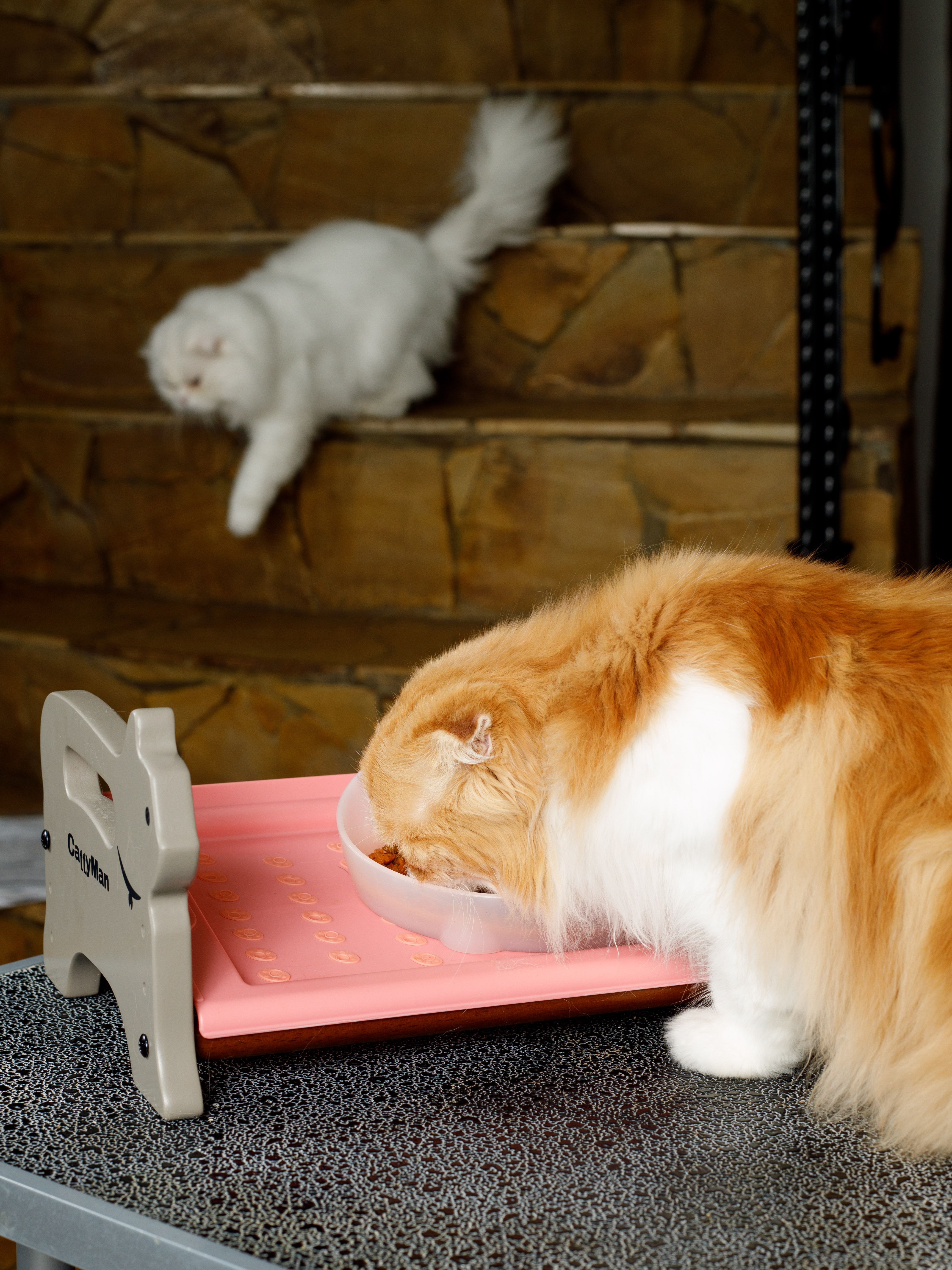 Product CEFT933796 photo 12