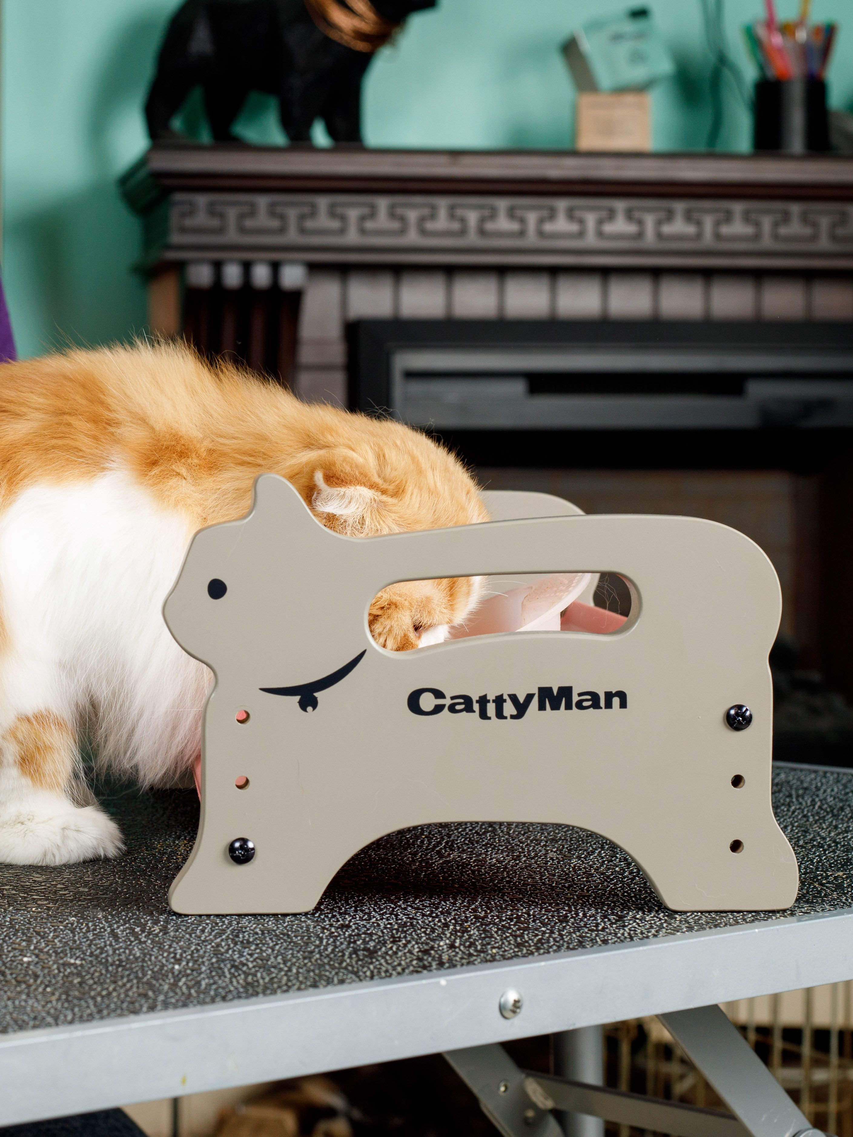 Product CEFT933796 photo 8