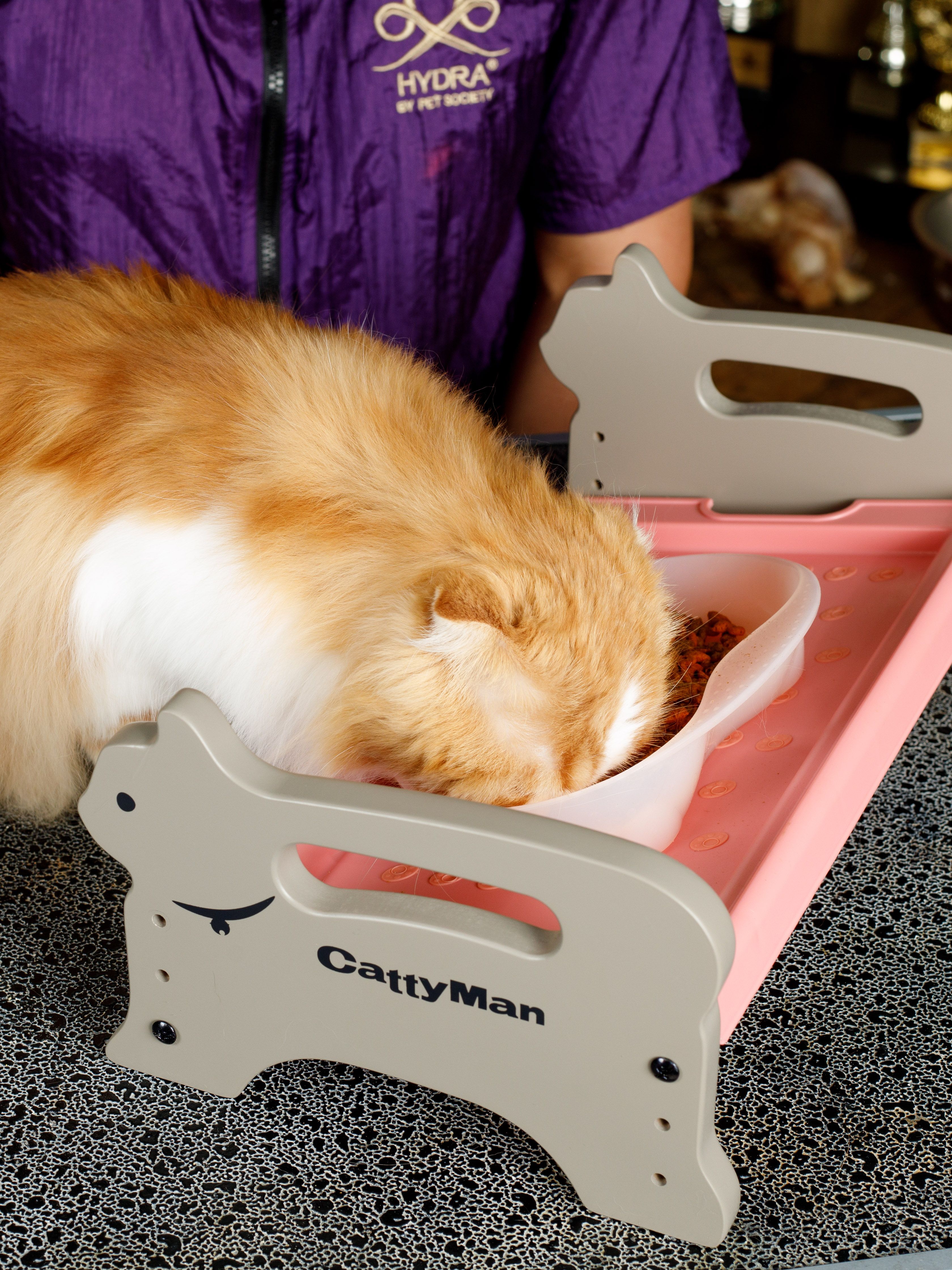 Product CEFT933796 photo 9