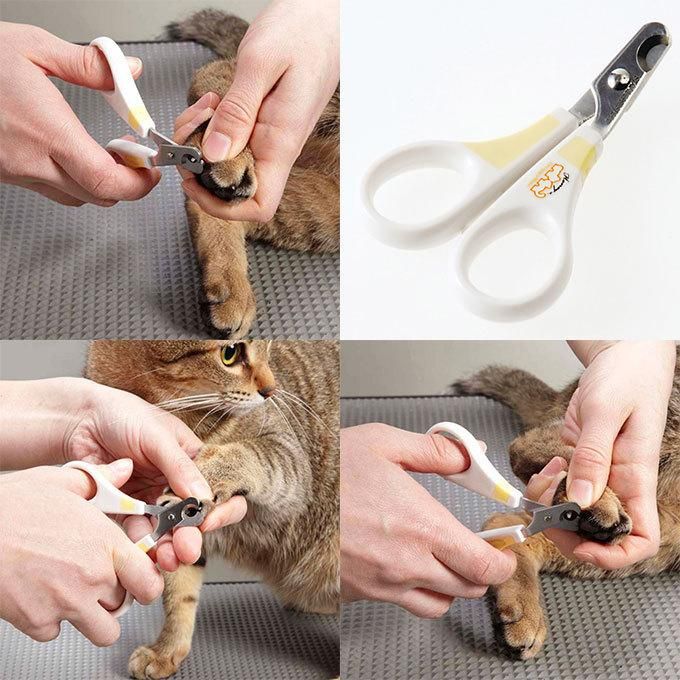 Product CGCC838732 photo 4