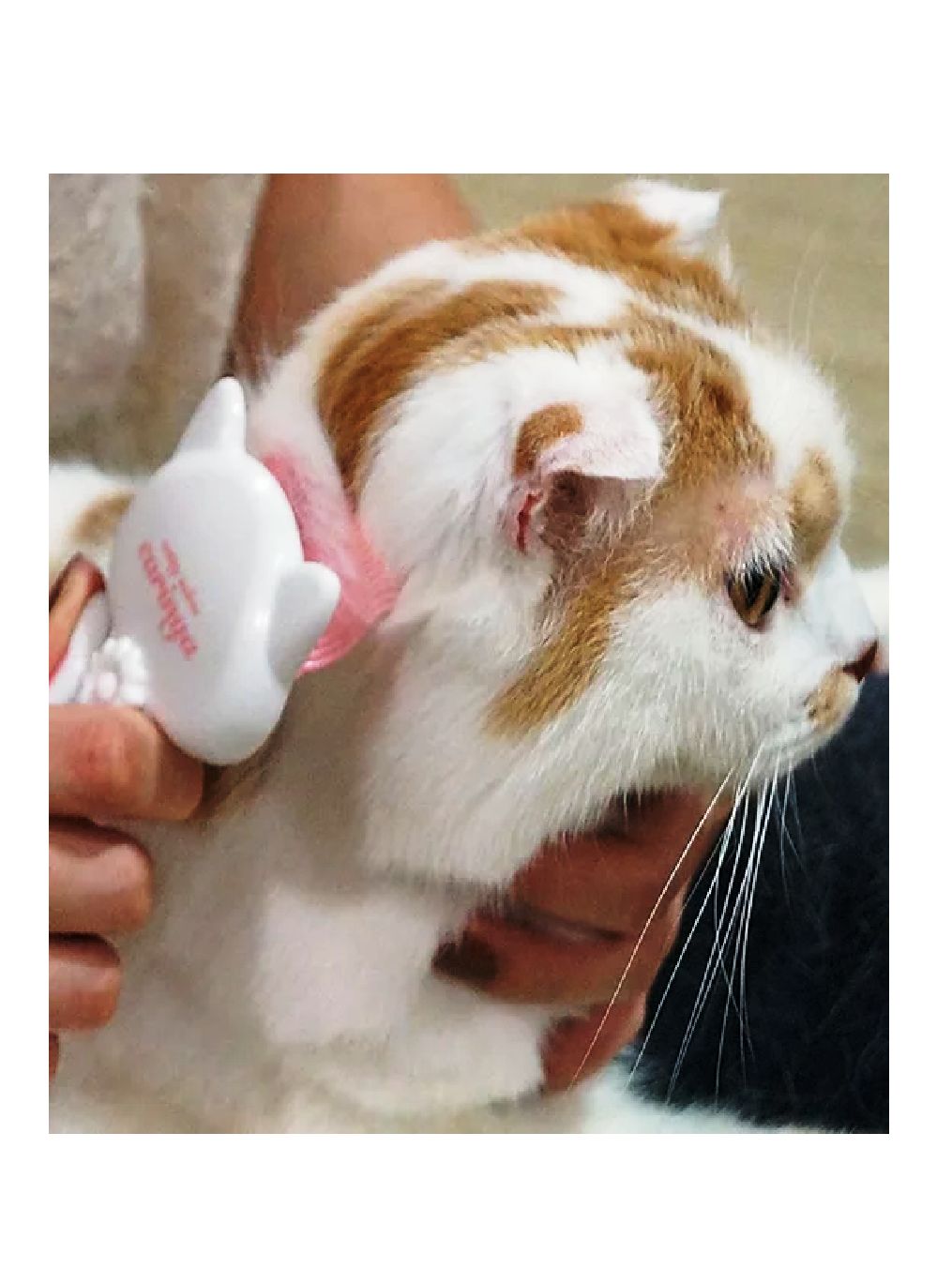 Product CGFC834741 photo 11