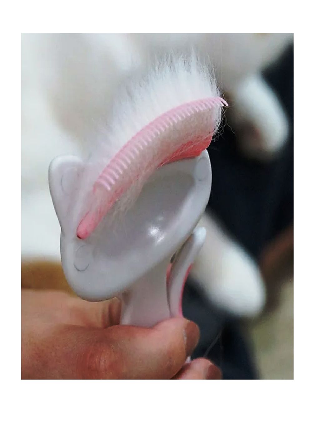 Product CGFC834741 photo 12