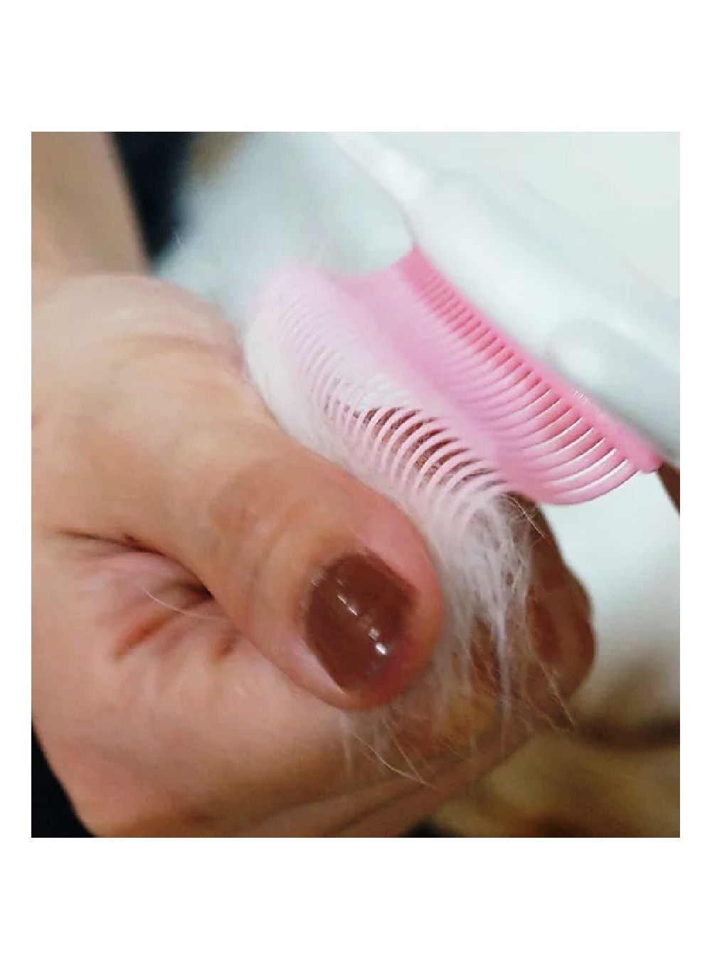 Product CGFC834741 photo 13