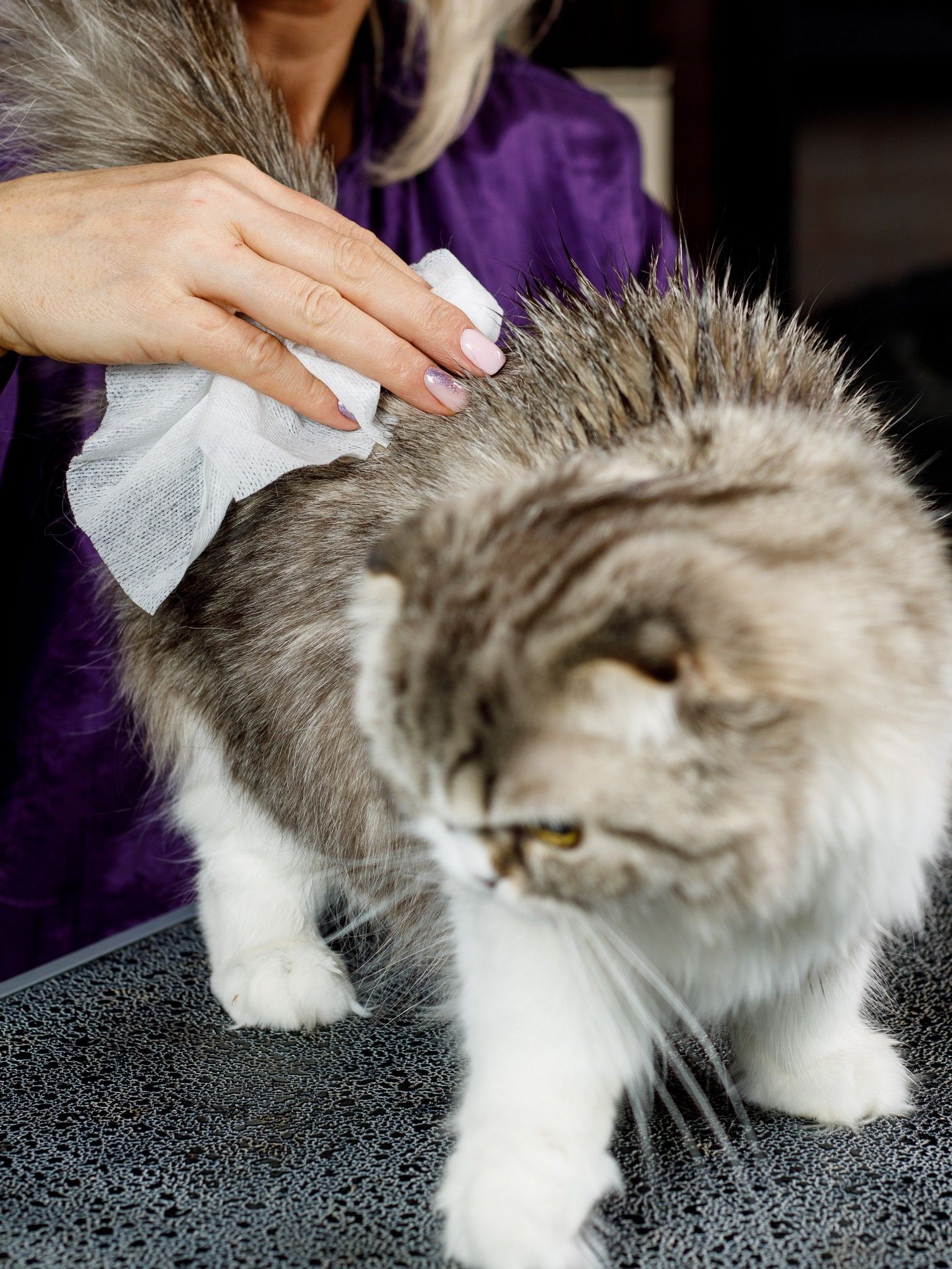 Produkt CHCW729109 Bild 4