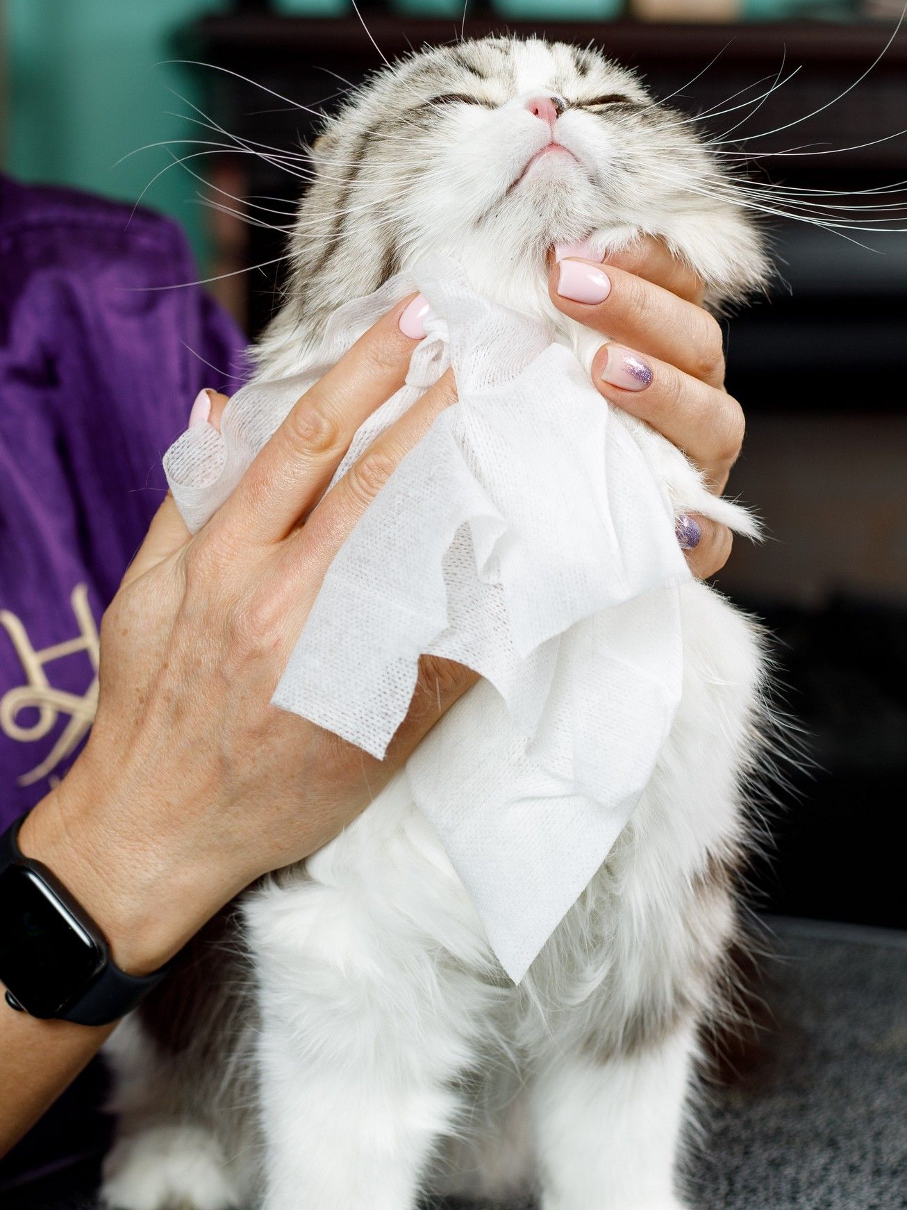 Produkt CHCW729109 Bild 5