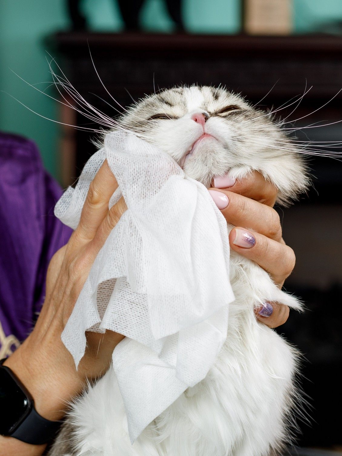 Produkt CHCW729109 Bild 6