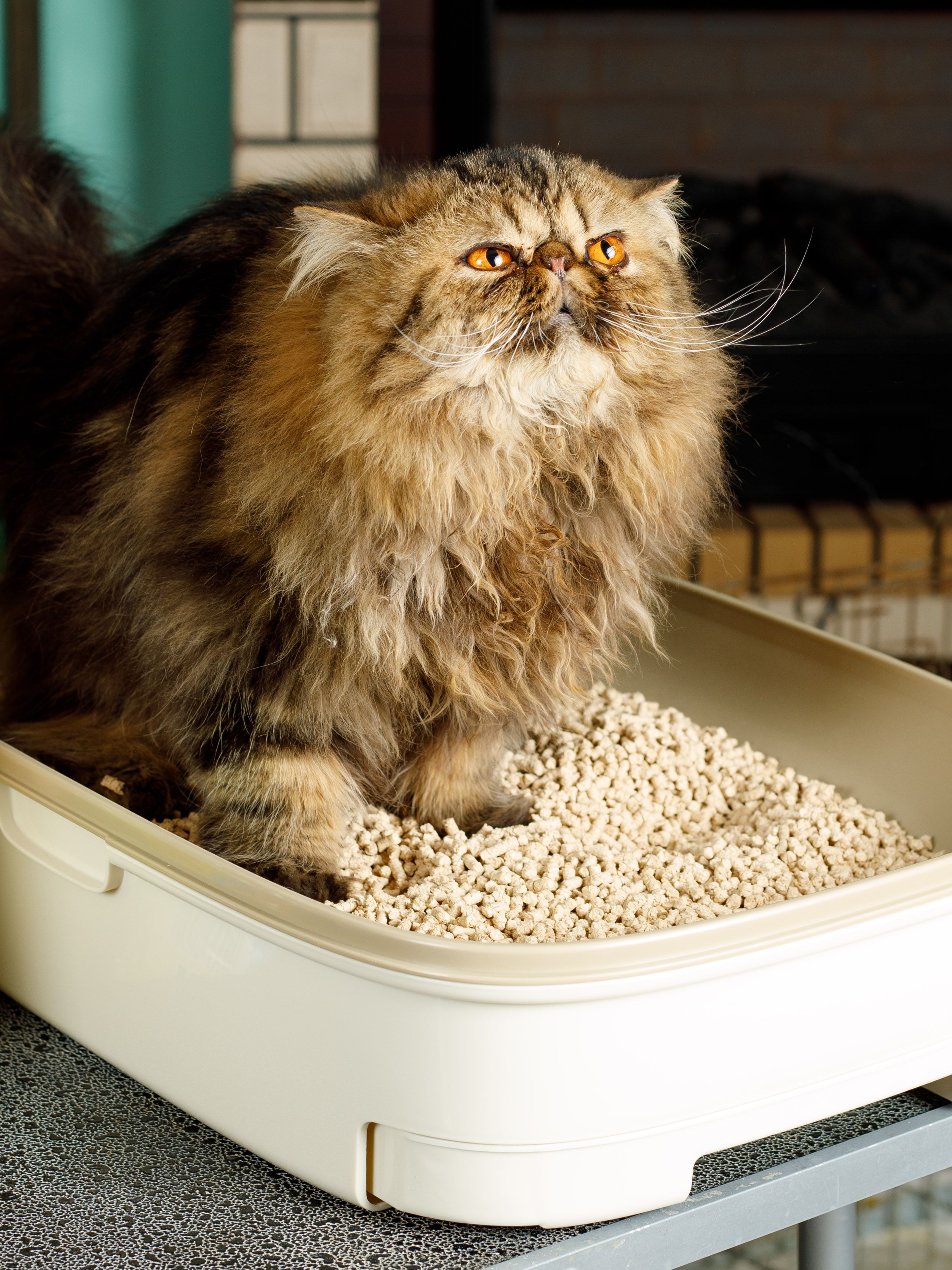 Produkt CLCW741309 Bild 6