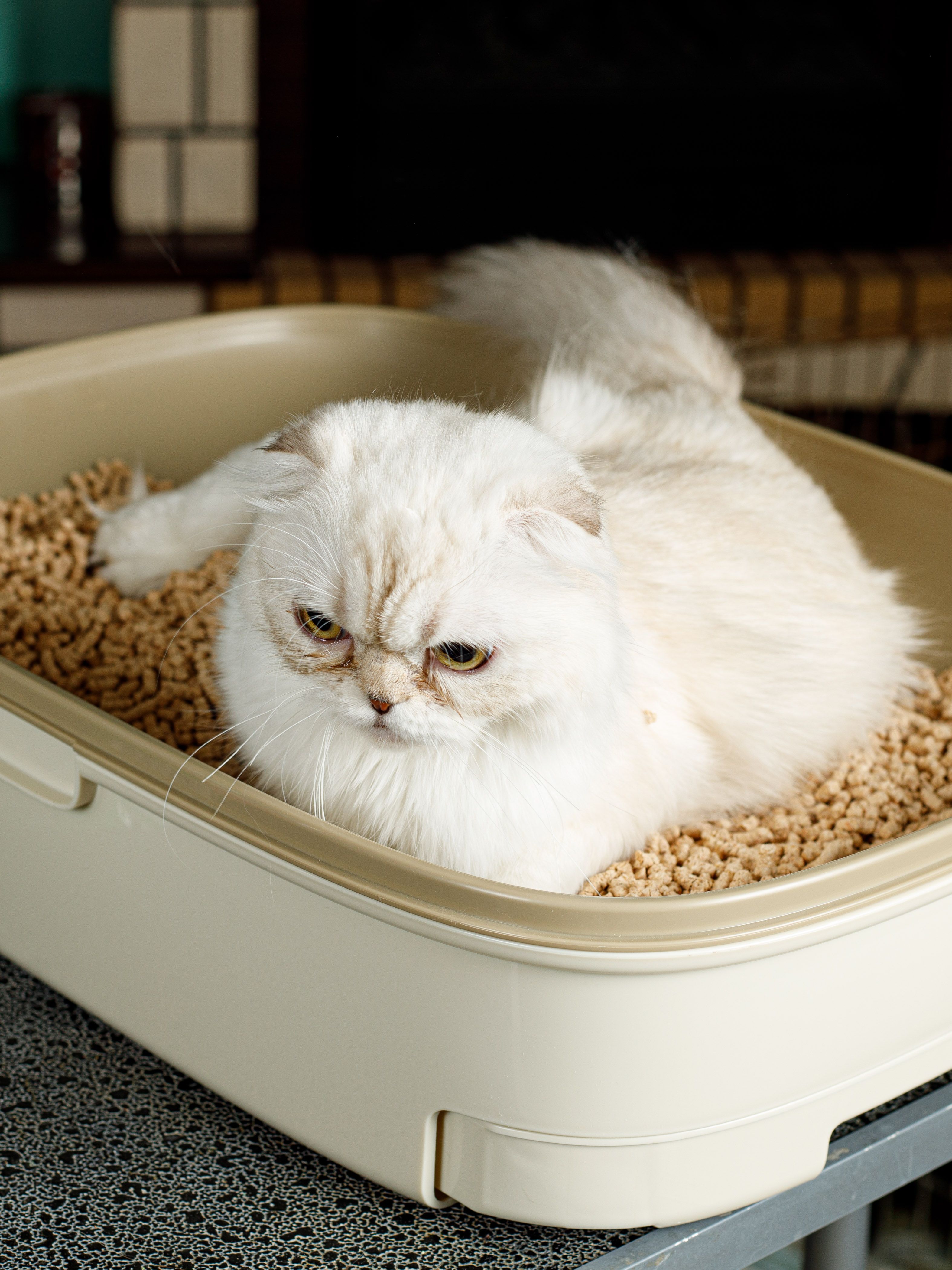 Product CLCW829700 photo 2