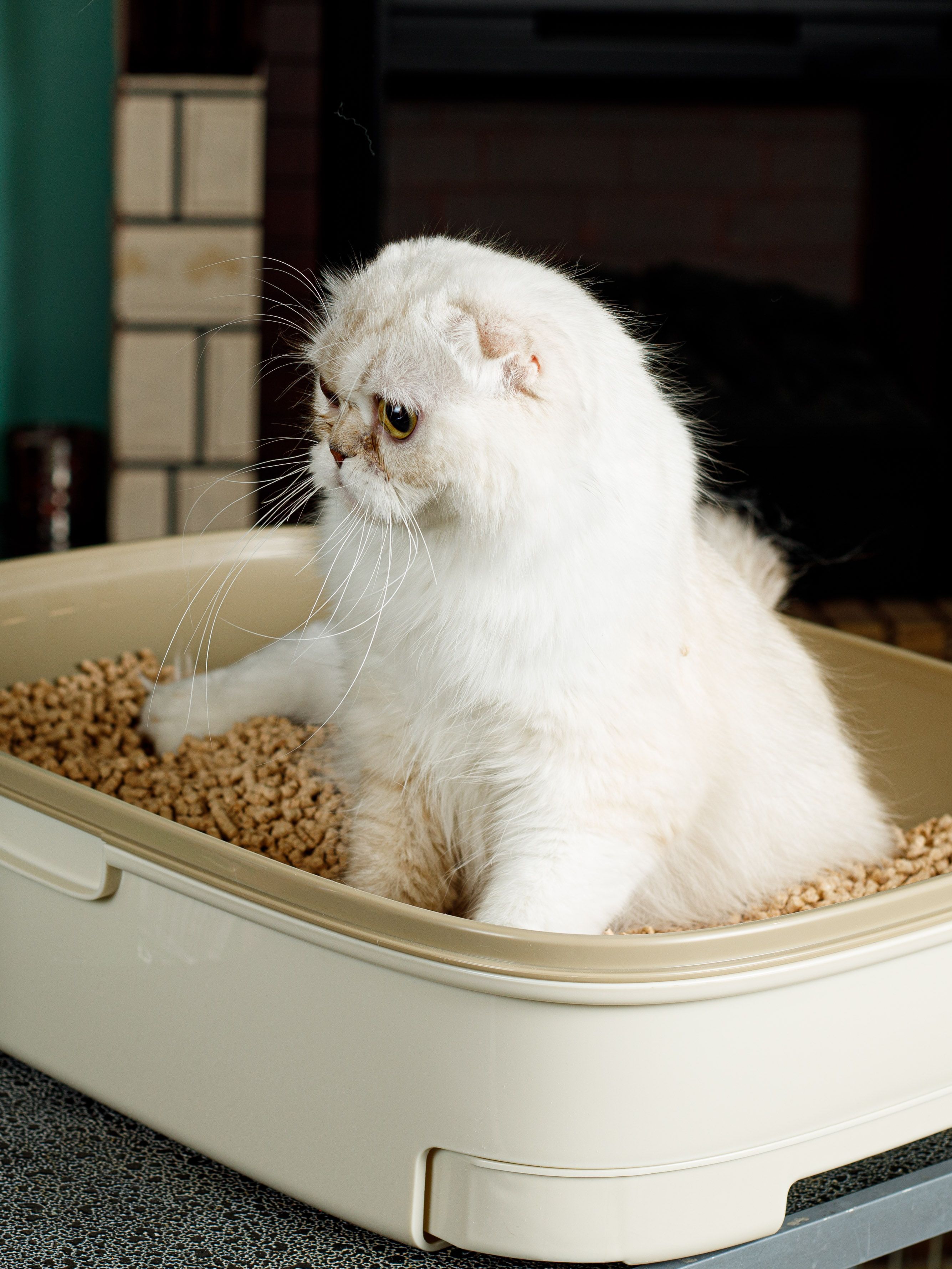 Product CLCW829700 photo 6