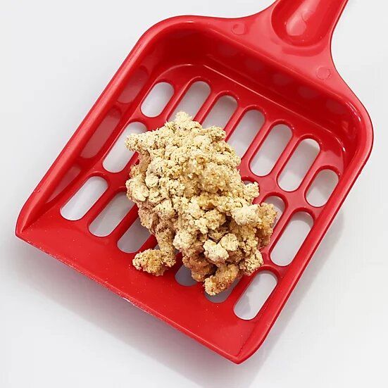 Produkt CLNO868303 Bild 10