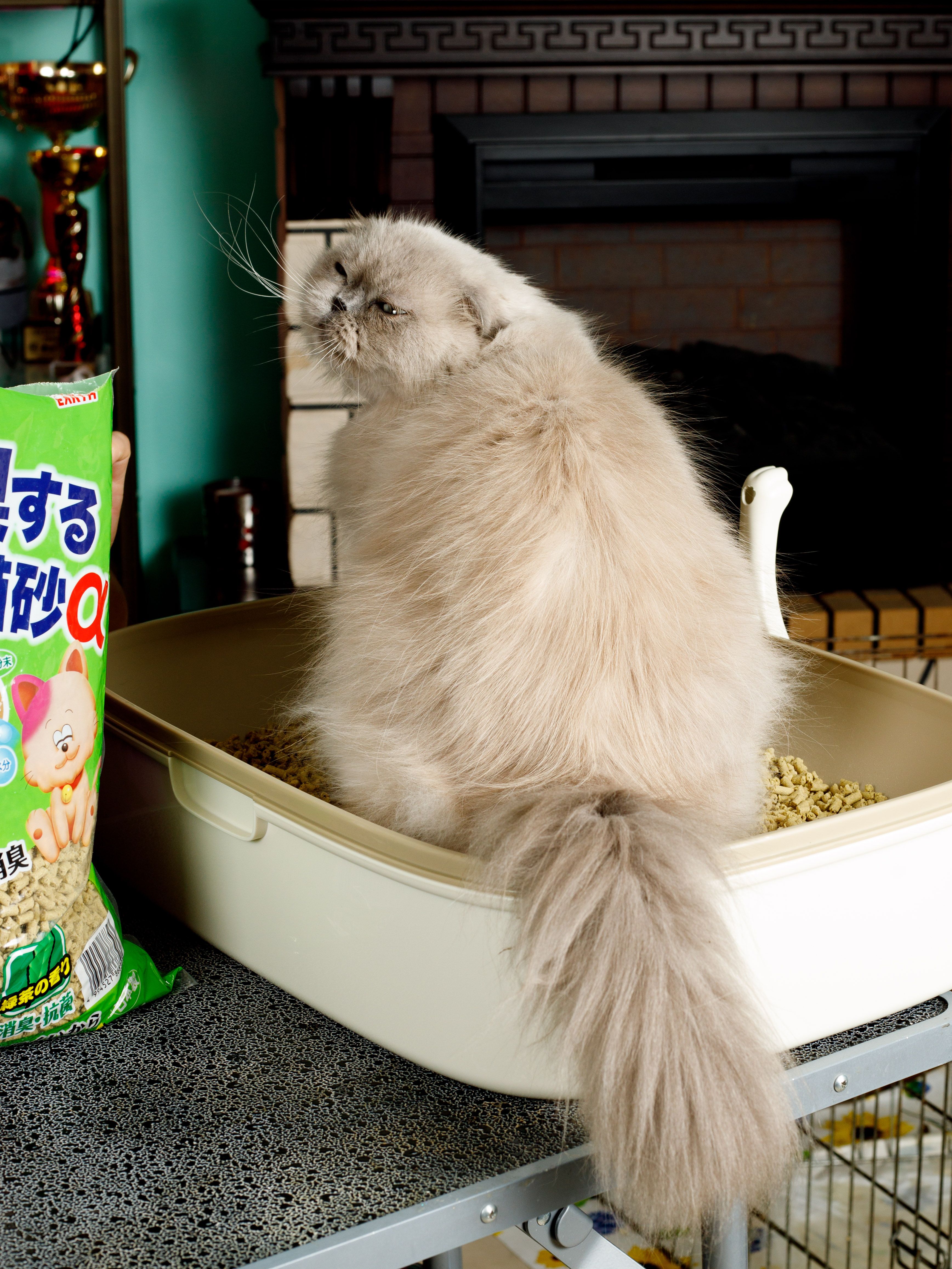 Produkt CLNO868303 Bild 4