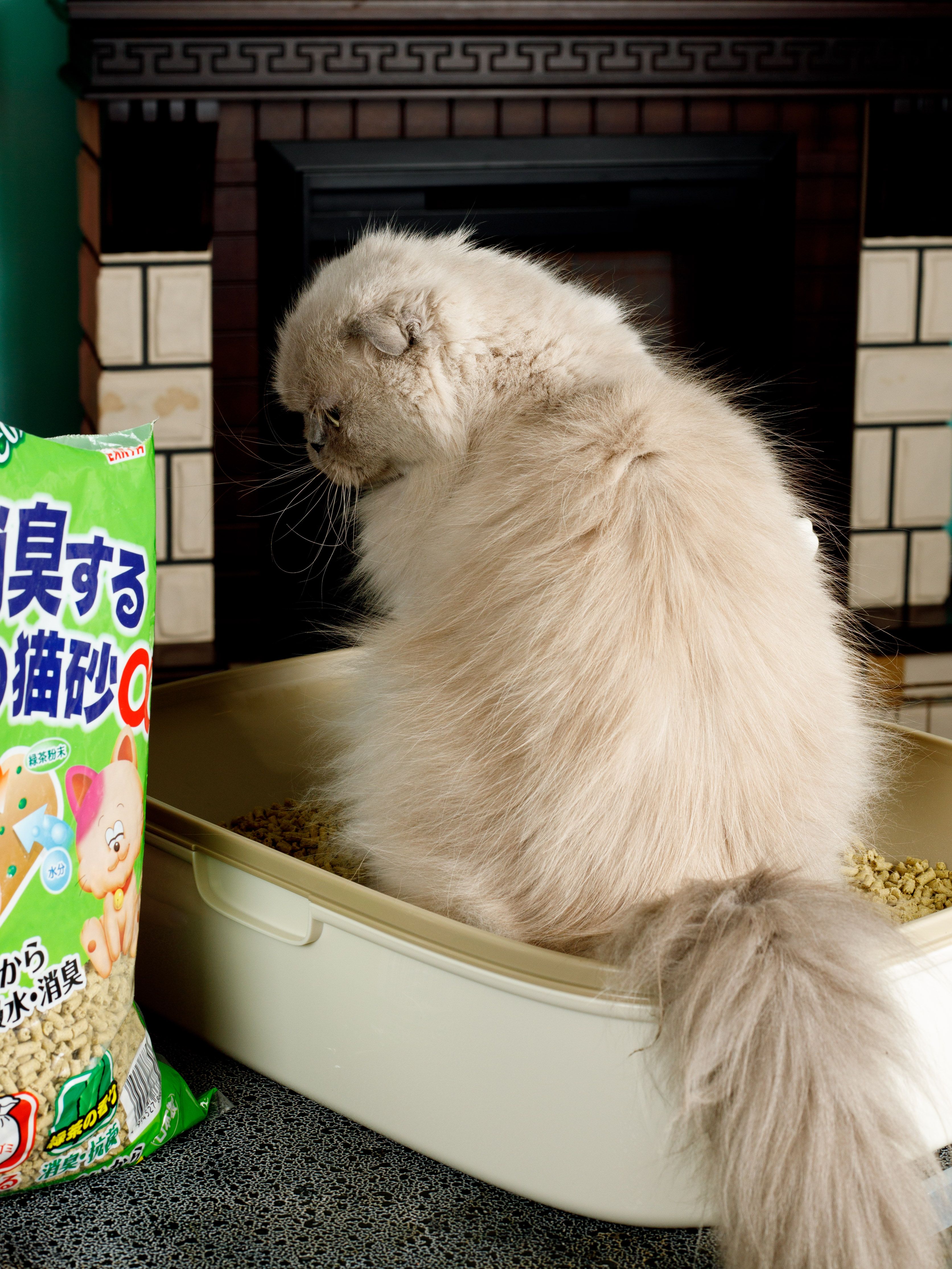 Produkt CLNO868303 Bild 5