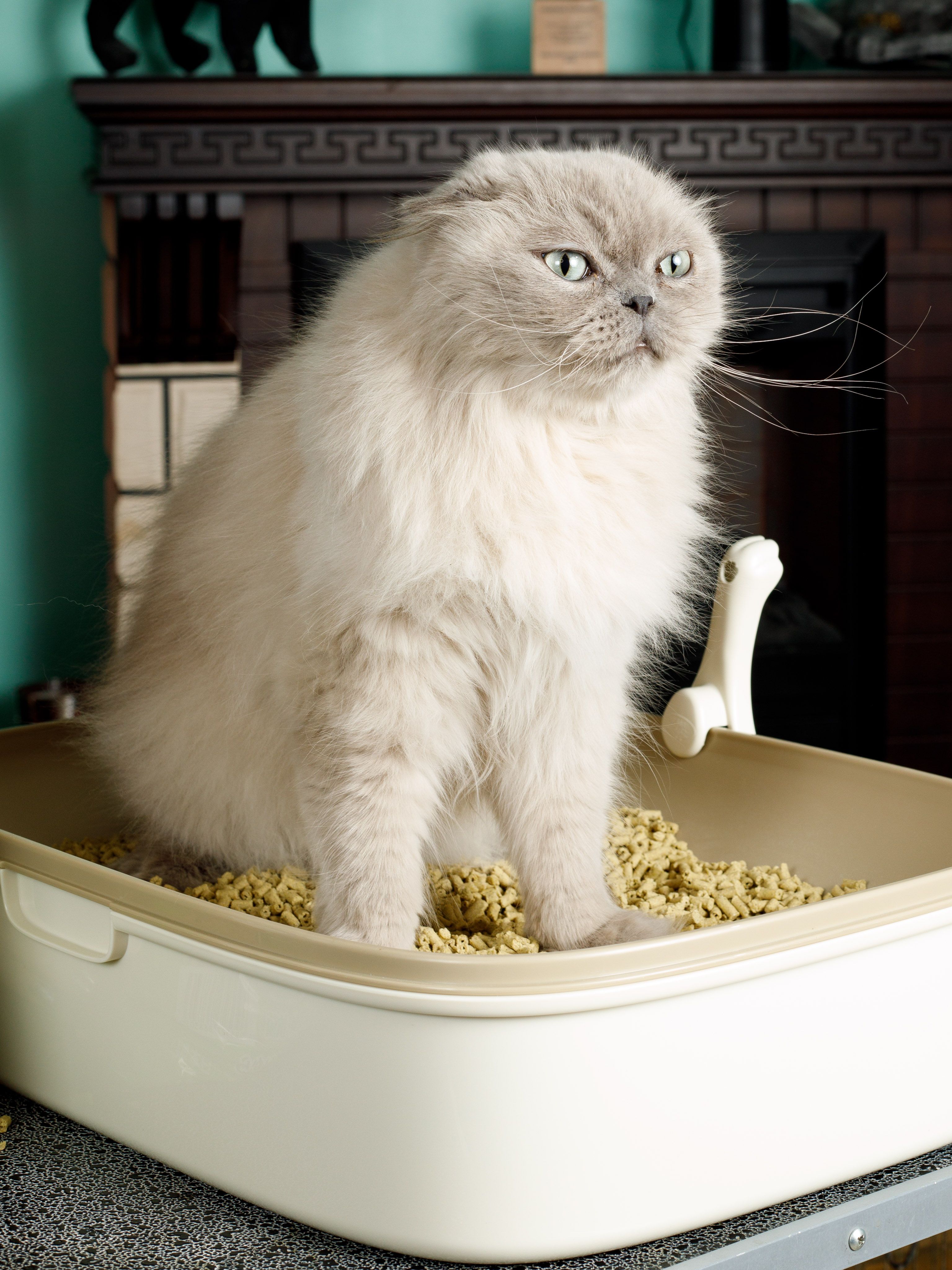 Produkt CLNO868303 Bild 6