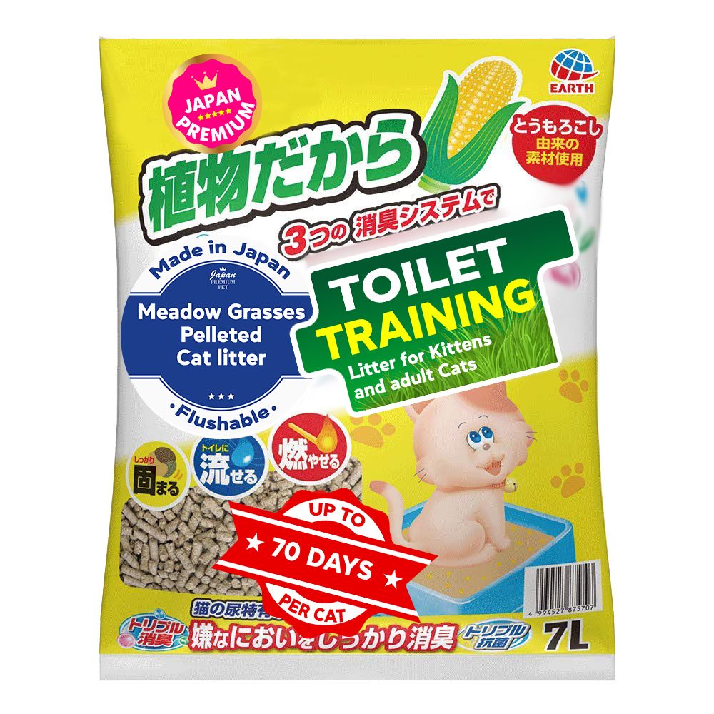 Produkt CLNO875707 Bild 2