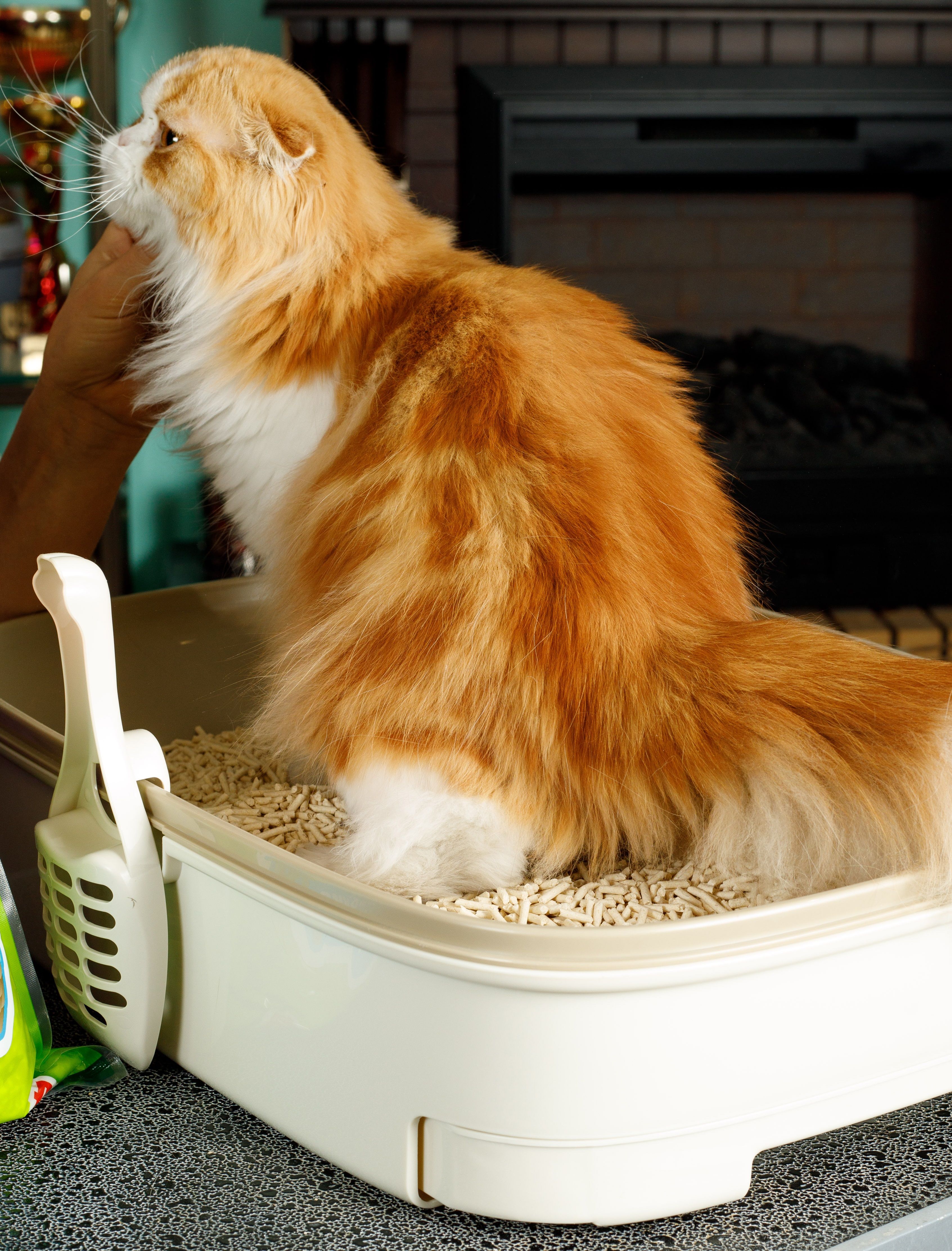 Produkt CLNO898508 Bild 4