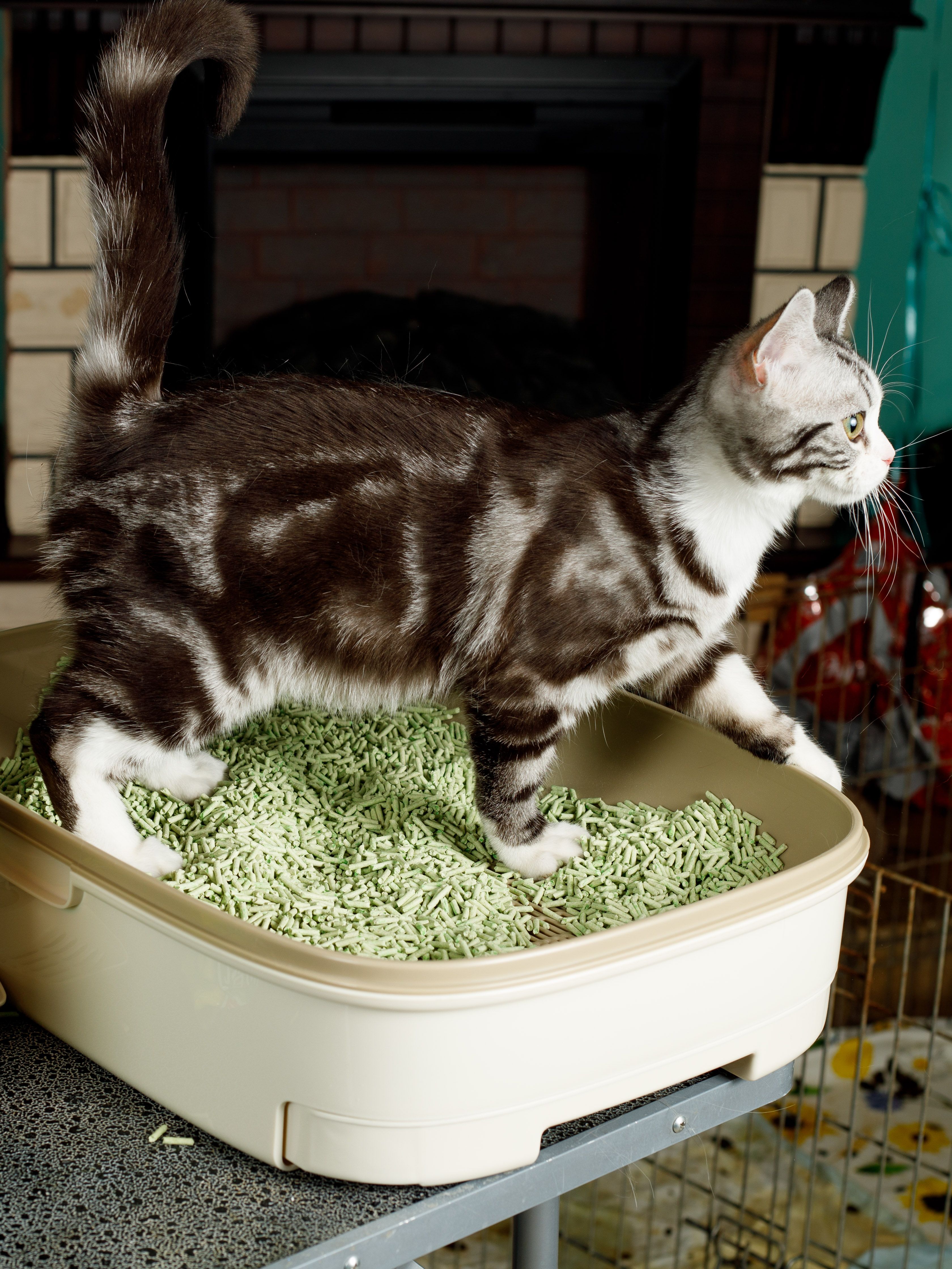 Produkt CLNO898607 Bild 3