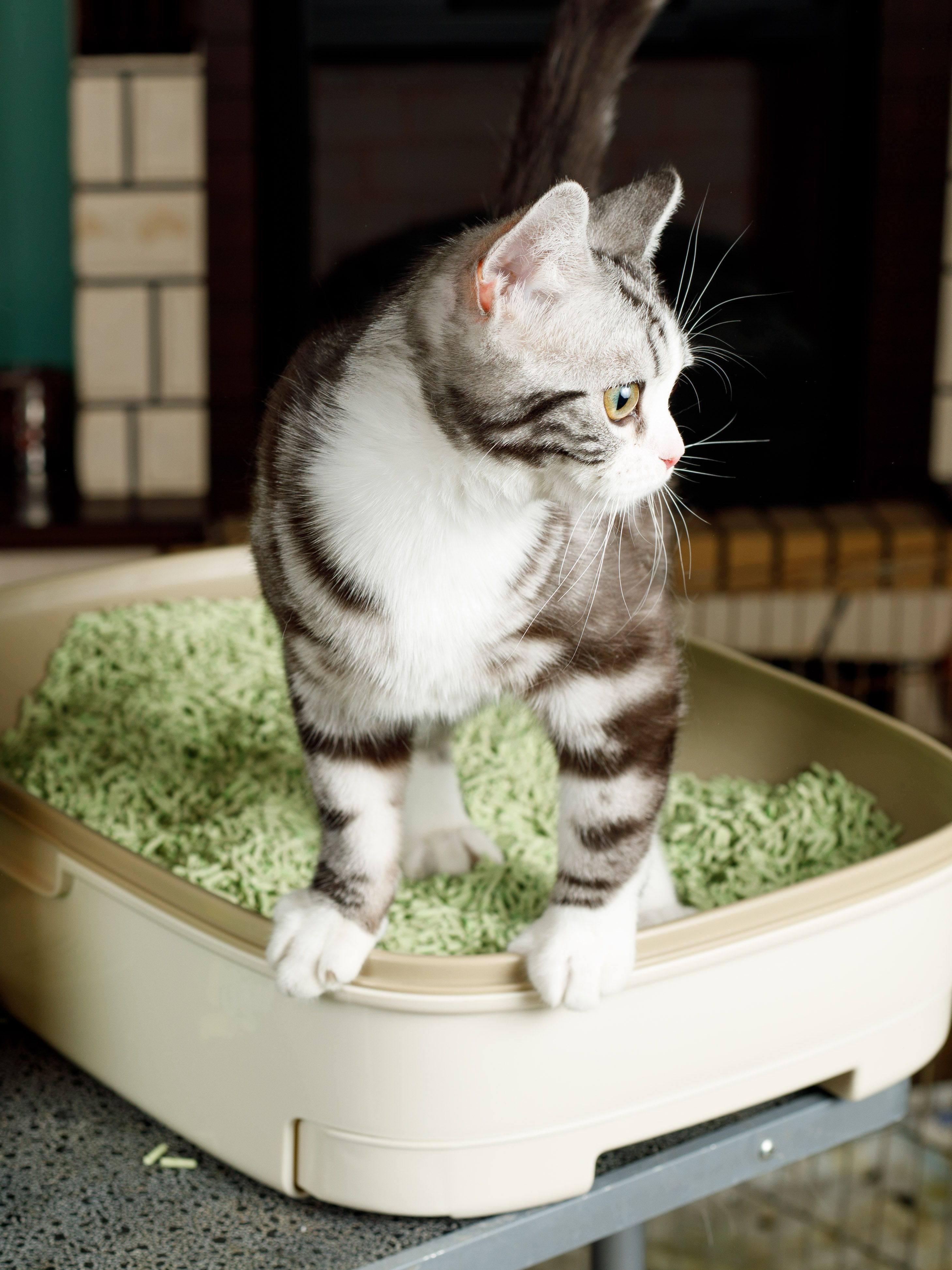 Produkt CLNO898607 Bild 6