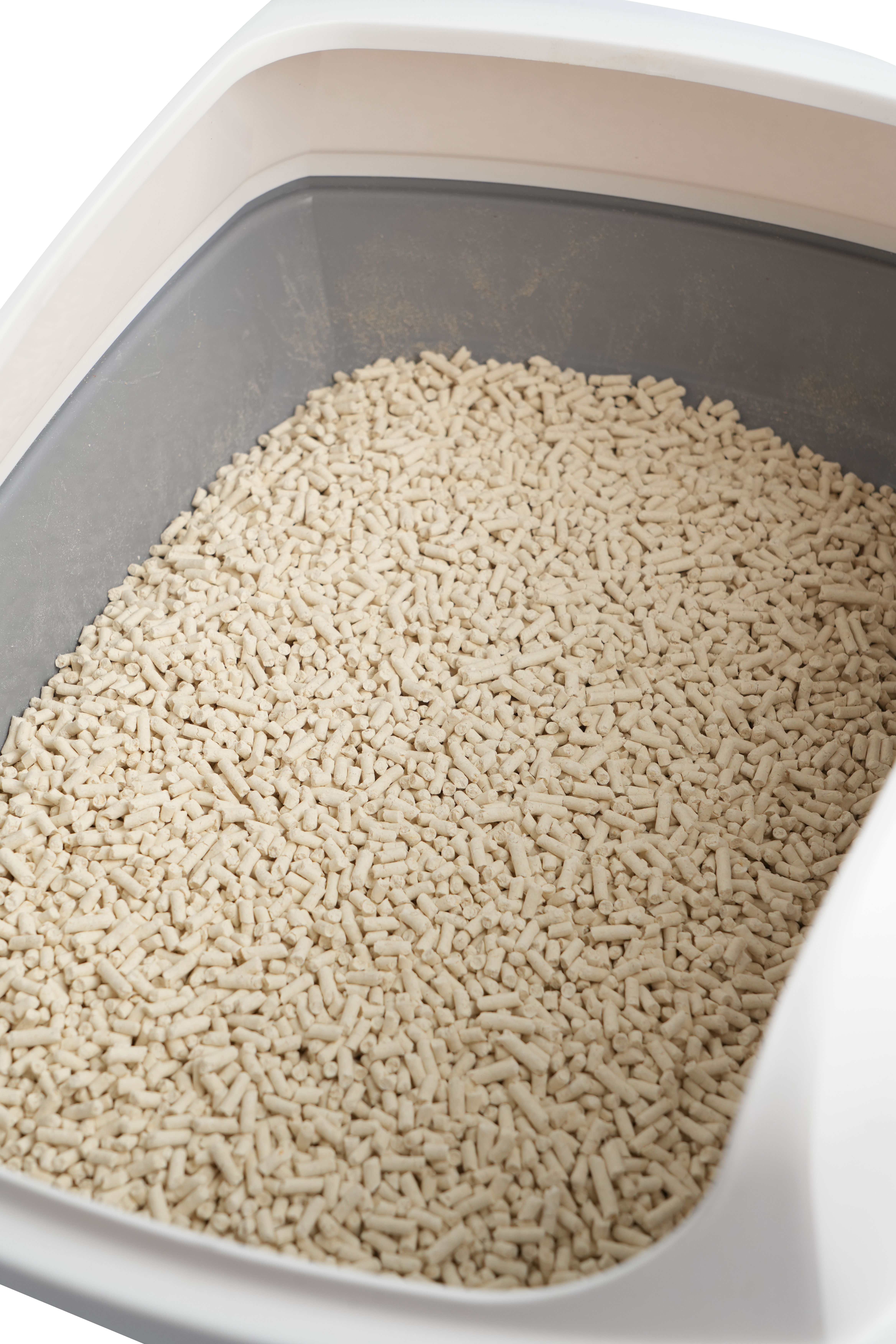 Product CLTO711119 photo 10