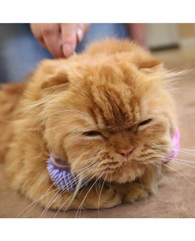 Product CRM0830828 photo 3