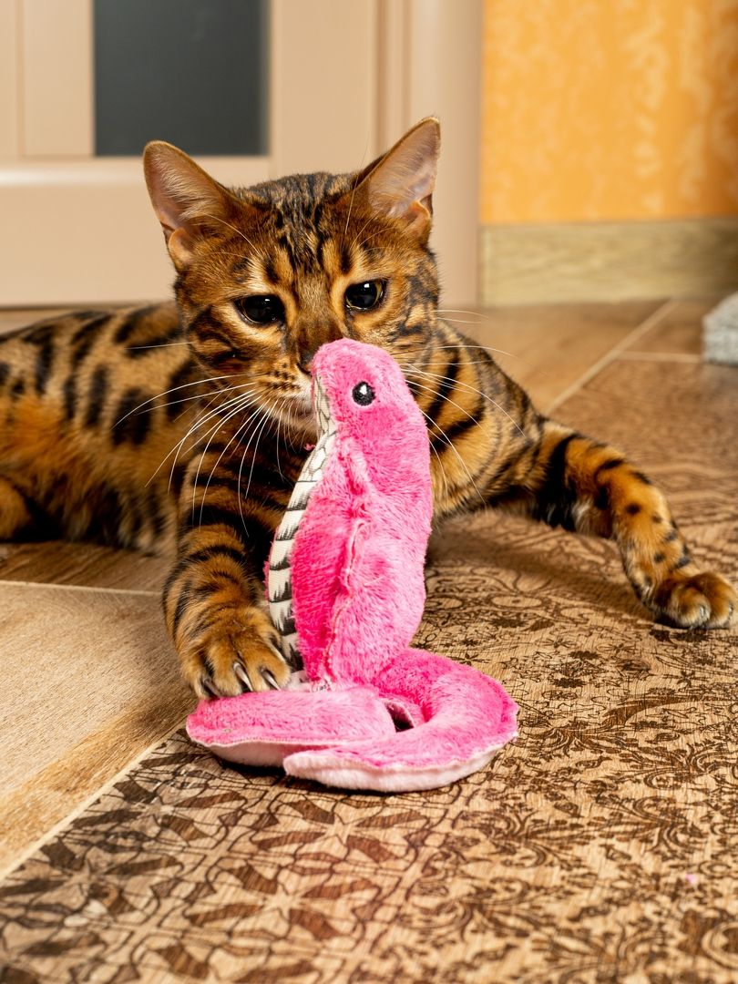 Produkt CT00683140 Bild 2