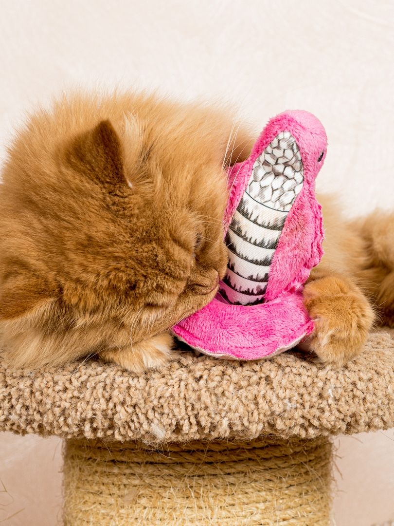 Produkt CT00683140 Bild 3