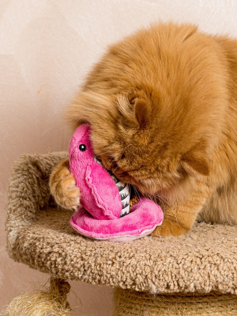 Produkt CT00683140 Bild 4