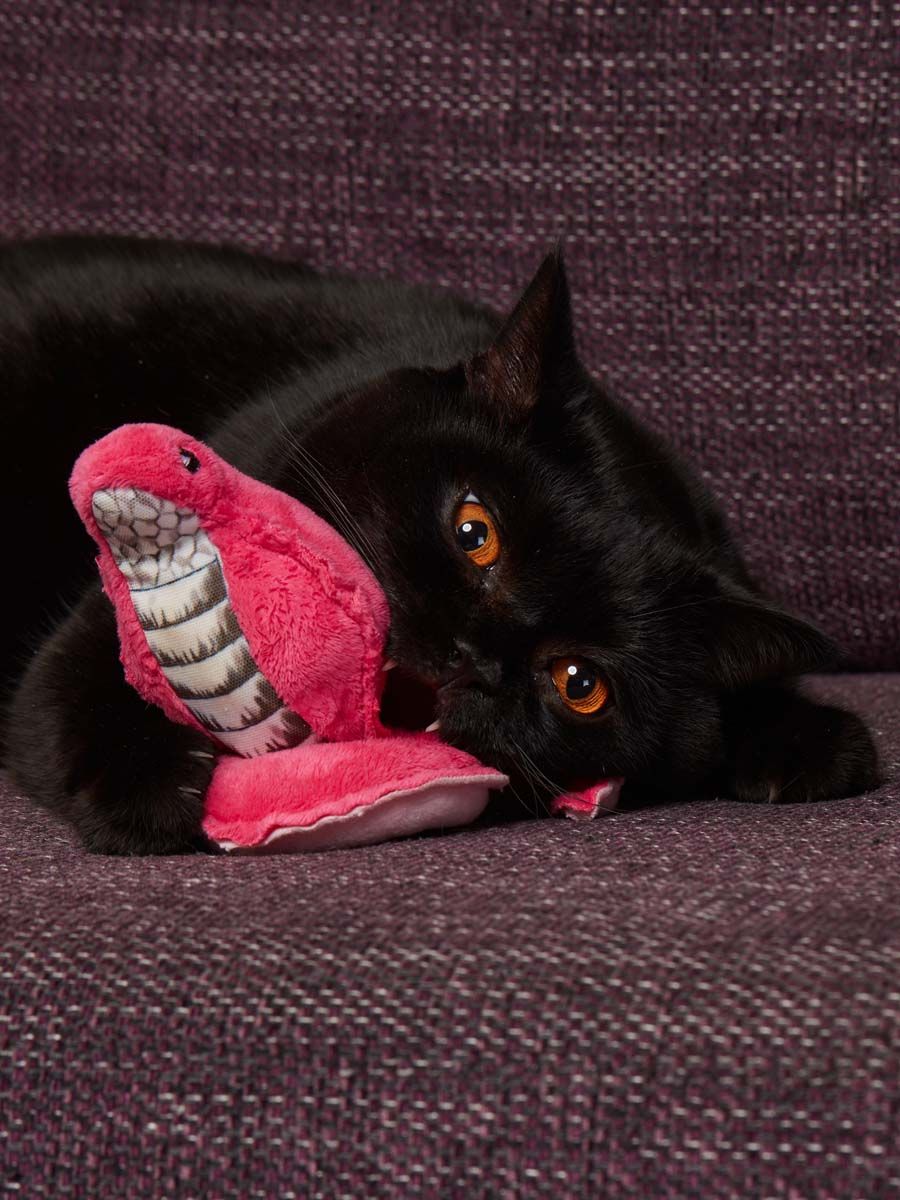 Produkt CT00683140 Bild 7