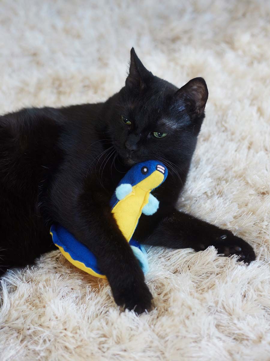 Product CT00683157 photo 10