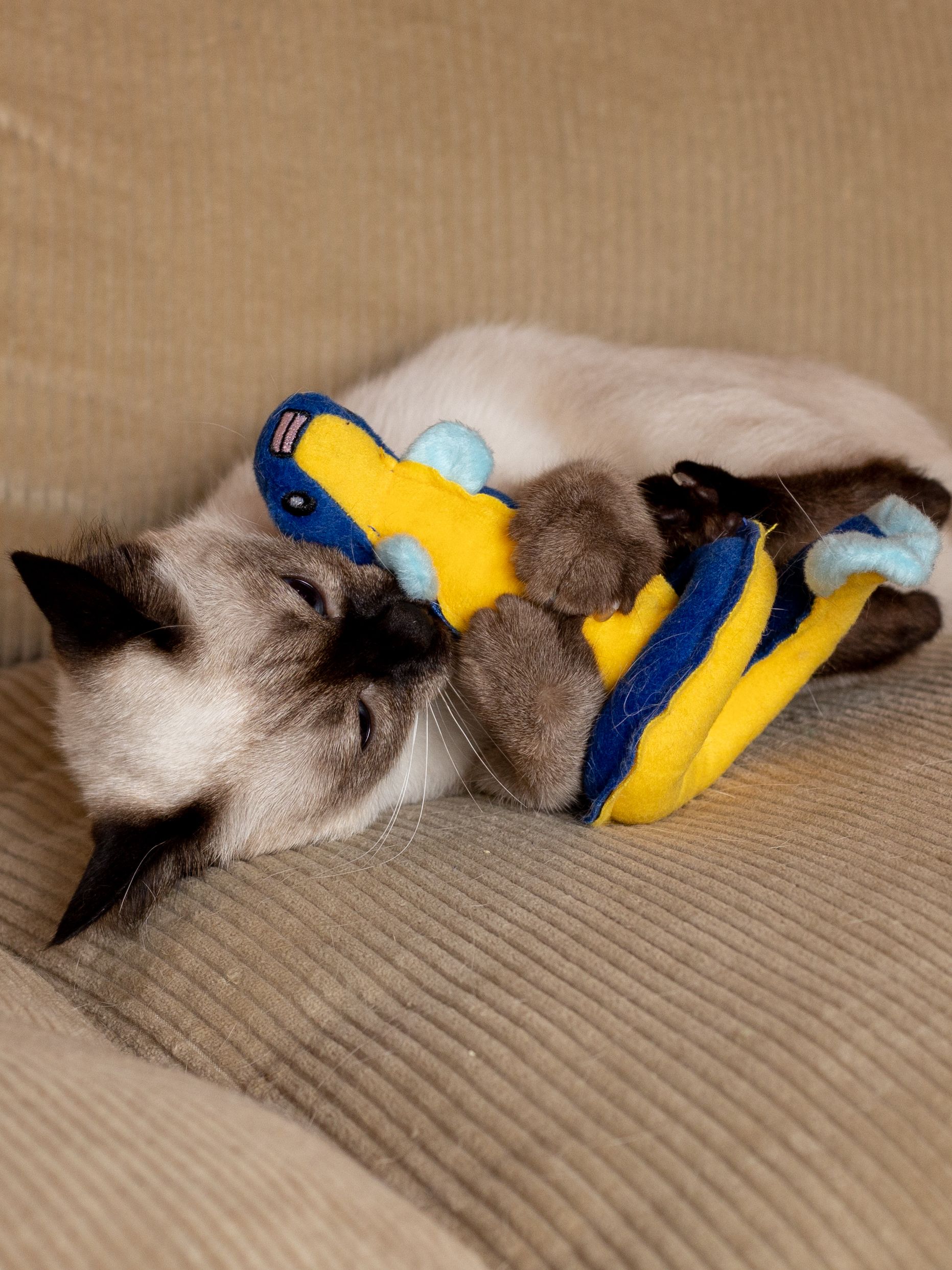 Product CT00683157 photo 12