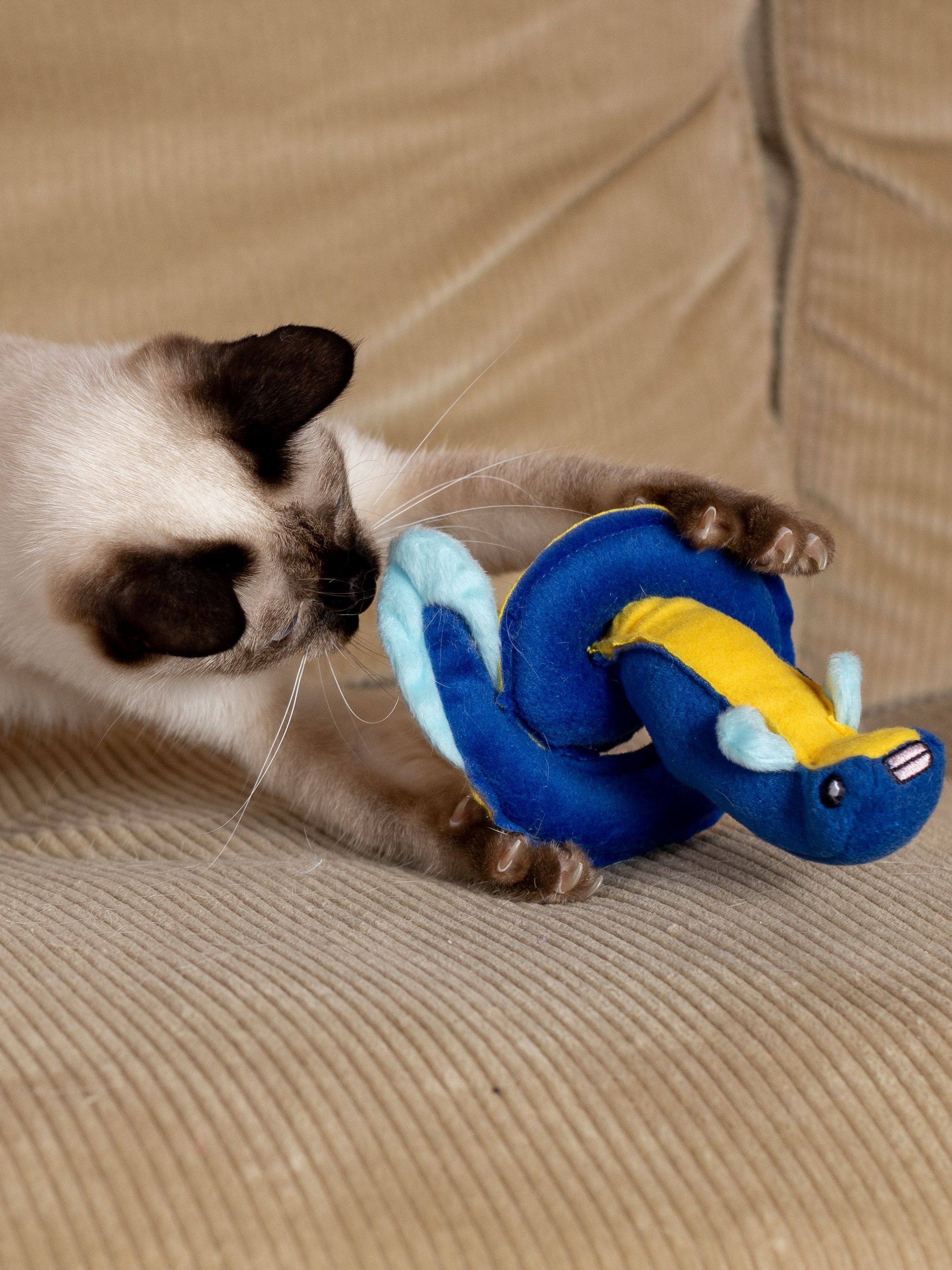 Product CT00683157 photo 2