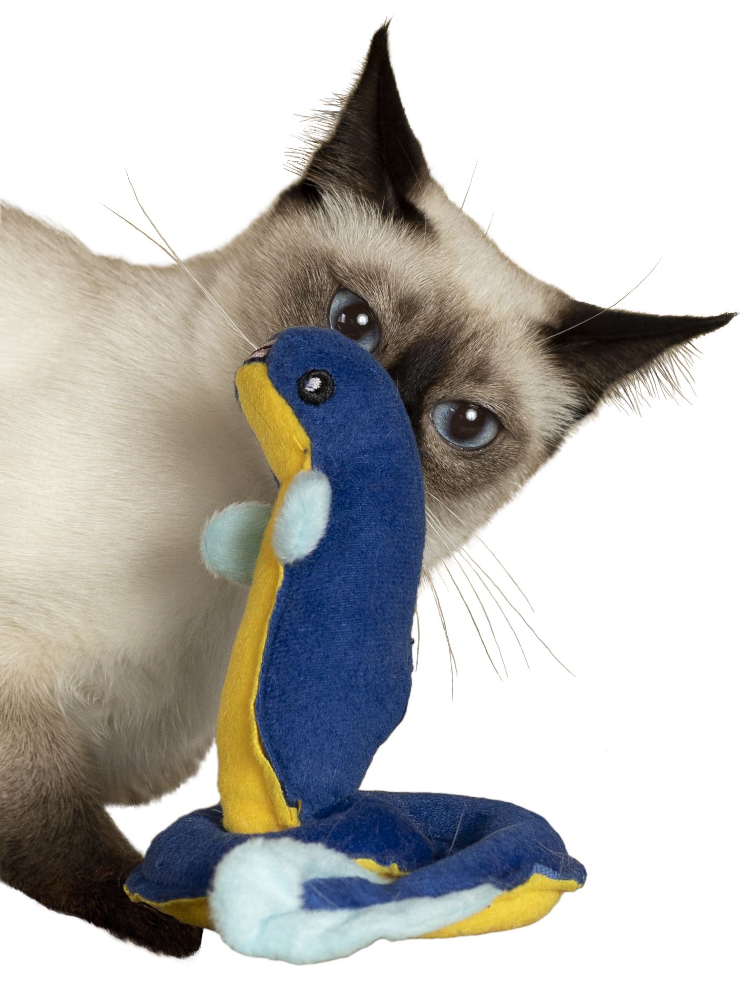 Product CT00683157 photo 4